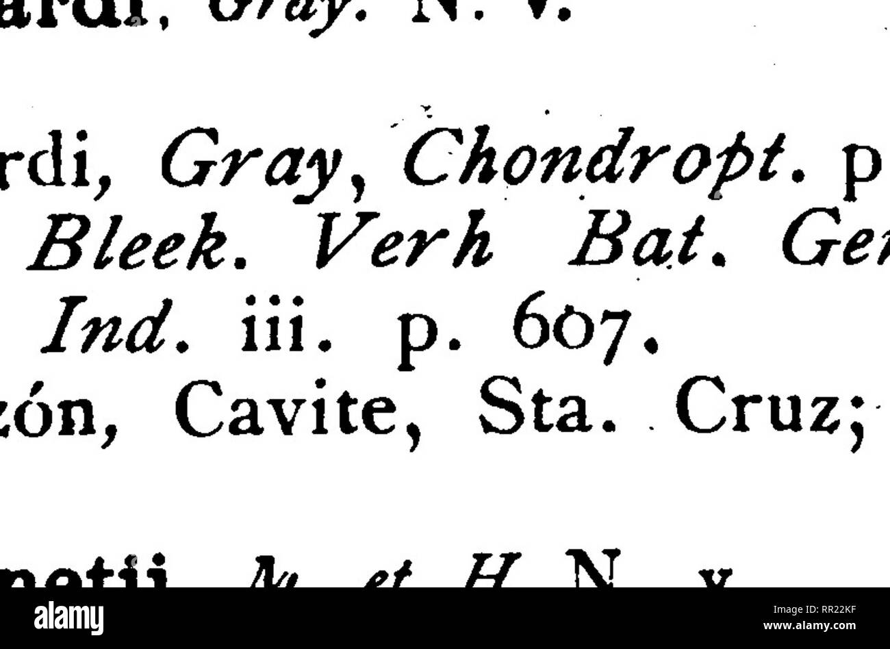 . Sistemático Catálogo de Toda la Fauna de Filipinas conocida hasta el presente. Zoologie.  6 ii-T. Dryas, Richards. Ichih, Kinn. S. 197. Ha 5. Luzón, Manila; China. 2. ^ Én. PTEROPLATEA, M. et H.3. Pt. h i rundo, Lo^ve N v. (M. S. T.) Pteroplatea hirundo, Loive^ Proc. ZooL Soc ist^ jy S. 94; Gthr. Ich cii. 8. s. 487. S. japónica, Schle^. Fami. Japón. Poiss. S.309, Lam. 141; B/EEK. Ací. Soc. Se. Indo-Neer L. Japan^ iv. S. 45. ? Pt. inarmorata, Cooper, Proc. Cali/. Acad. Nat. Se.iü. s. i u, hatte. Luzón, Manila; China. Fain. MILIOBÁTIDOS. I. Allg. MYLIOBATIS, Cuv. 1. M. nieuhofii. Oiv. N v,. (M Stockfoto