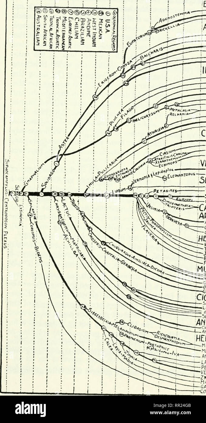. Alter und Bereich; eine Studie, die in der geographischen Verteilung