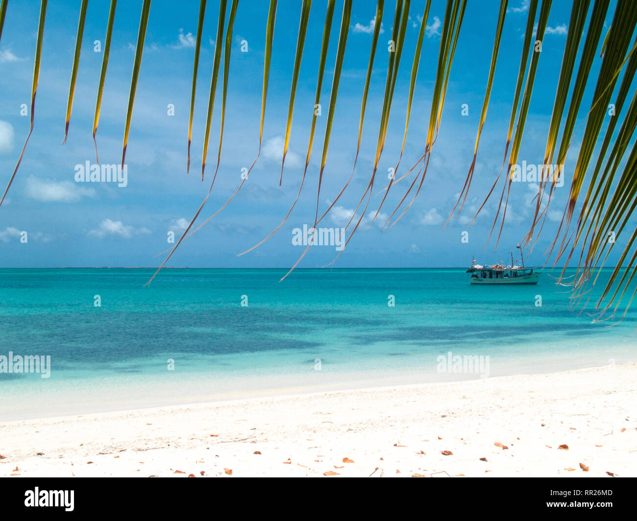 Tropische Strand der Insel dos mosquices, Los Roques, Venezuela. Stockfoto