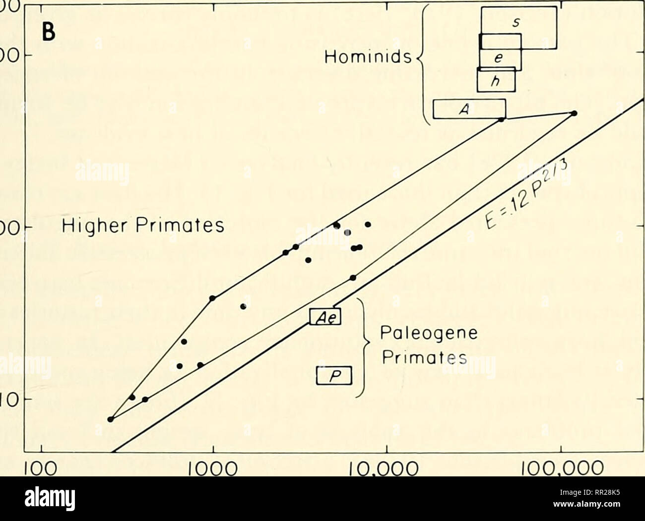 Fortschritte In Der Studie Von Saugetieren Verhalten Saugetiere 100 1000 10 000 00 1000 U100 100 000 0 000 100 000 Korpergrosse Gramm Abb 10 Konvexe Polygone Umschliessenden Primas Daten Bezogen Auf Fortschritte In Der Studie Von Saugetieren Verhalten Saugetiere 100 1000 10 000 00 1000 U100 100 000 0 000 100 000 Korpergrosse Gramm Abb 10 Konvexe Polygone Umschliessenden Primas Daten Bezogen Auf