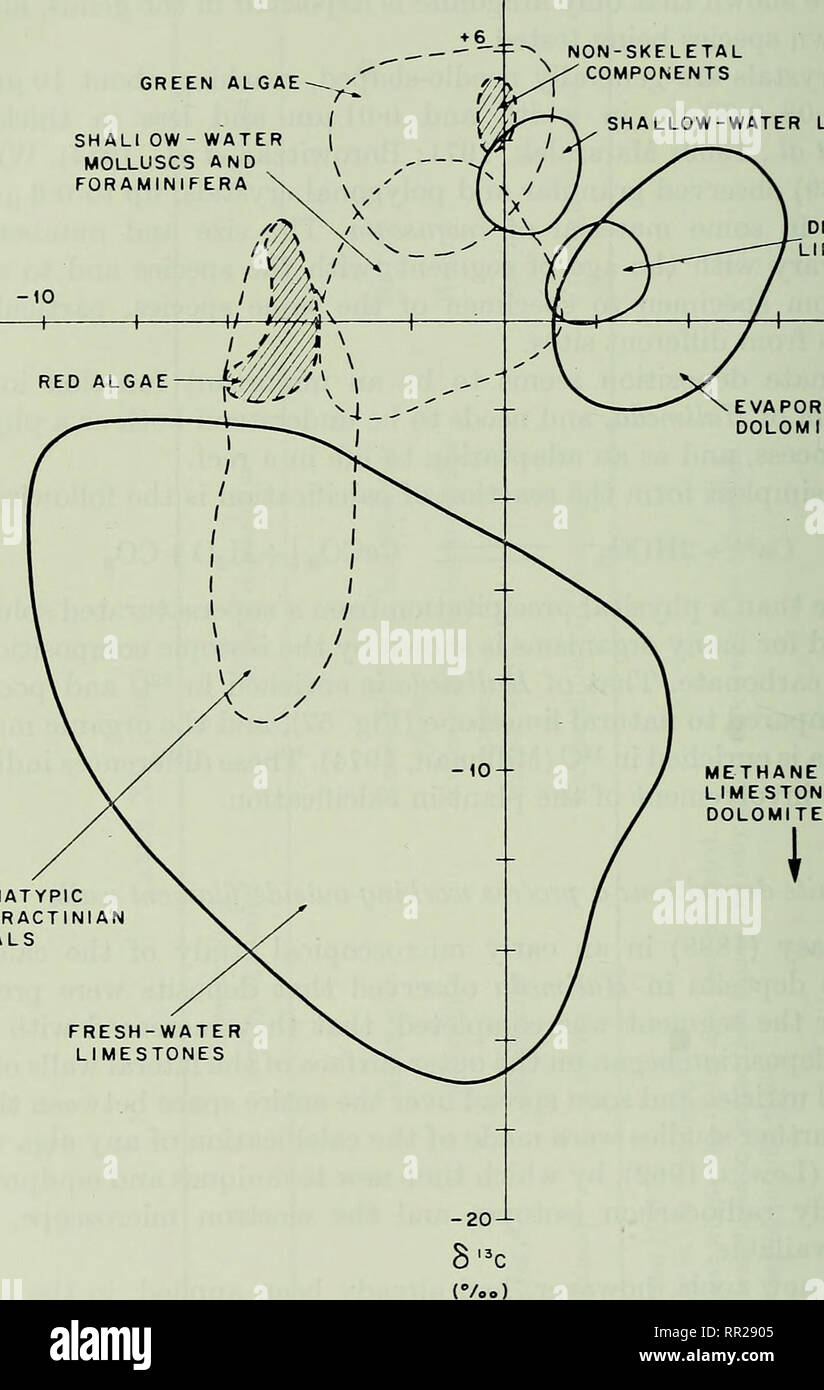 . Fortschritte in der Meeresbiologie: Band 17. Coral Fischerei. 190 L. HILLIS-COLINVAUX GRÜNE ALGEN SHALI OW-WASSER WEICHTIERE UND FORAMINIFEREN X '6' "0 (voo) NICHT-SKELETTALE KOMPONENTEN im flachen Wasser KALKSTEINE DEEP-SEA KALKSTEINE EVAPORITIC DOLOMITEN. HERMATYPIC SCLERACTINIAN KORALLEN Süßwasser-kalksteine Methan-abgeleiteten Kalksteinen und Dolomiten Abb. 57. Vergleich der Abweichungen der ^^o^^C im Halimeda (grüne Algen) mit denen der anderen kalkhaltigen Organismen und natürlichen Karbonate. (Von Milliman (1974), mit Genehmigung reproduziert.) organische Matrix, und dass Kristallisation wurde interne i Stockfoto