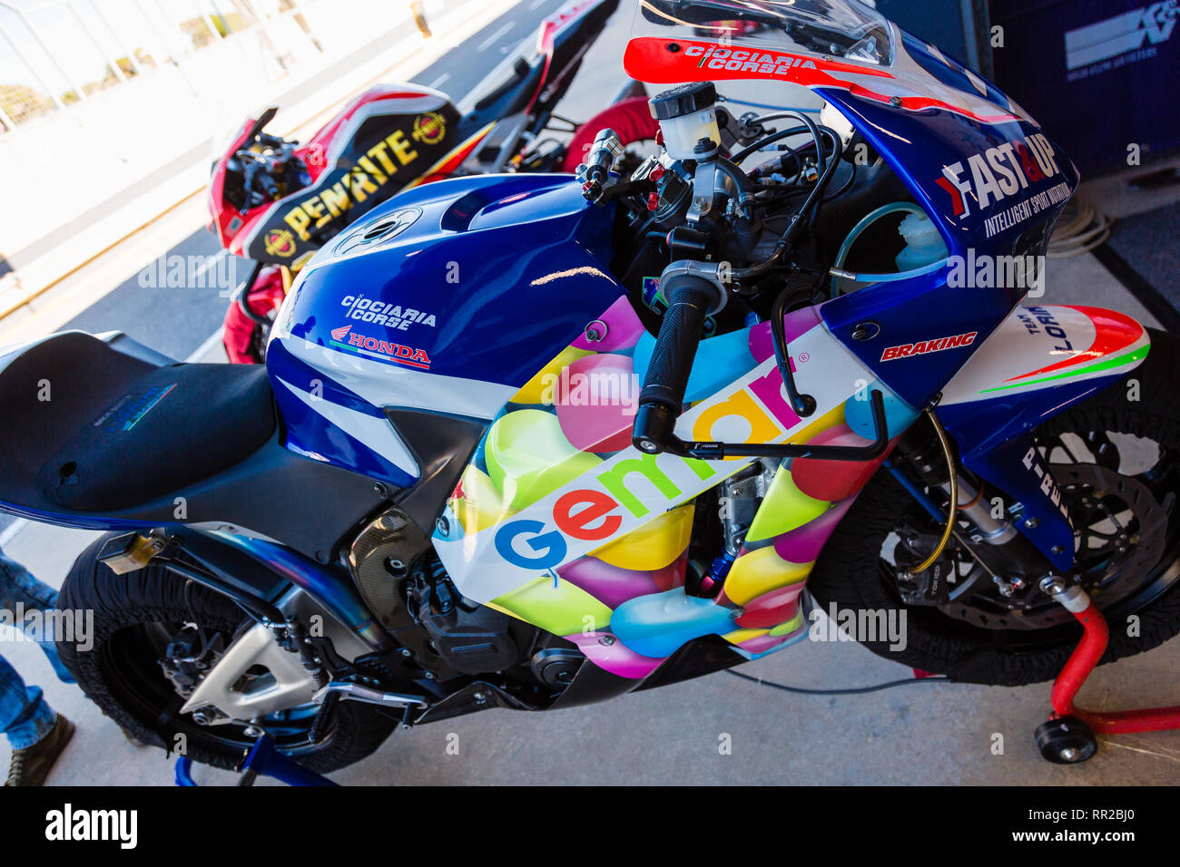 Melbourne, Australien. 24 Feb, 2019. MELBOURNE, AUSTRALIEN - 24. Februar: Eye Candy während der 2019 MOTUL FIM Superbike Weltmeisterschaft auf Phillip Island, Australien, am 24. Februar 2019. Credit: Dave Hewison Sport/Alamy leben Nachrichten Stockfoto