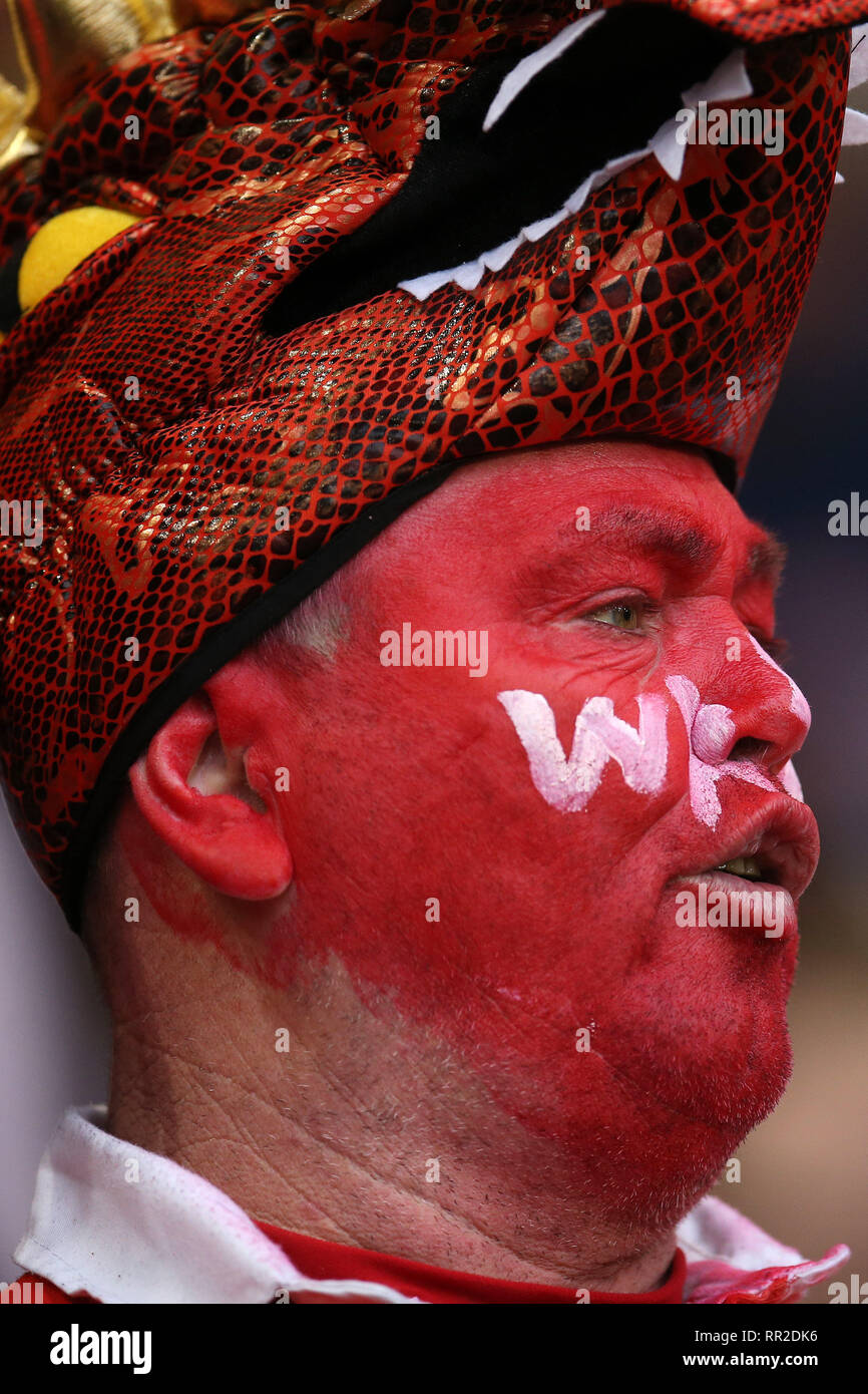 Cardiff, Großbritannien. 23 Feb, 2019. Wales Rugby Fan. Wales V England, Guinness Six Nations 2019 internationale Rugby Spiel im Fürstentum Stadium in Cardiff, Wales, Großbritannien am Samstag, 23. Februar 2019. pic von Andrew Obstgarten/Alamy Leben Nachrichten BITTE BEACHTEN SIE FÜR REDAKTIONELLE VERWENDEN SIE NUR BILD VERFÜGBAR. Stockfoto