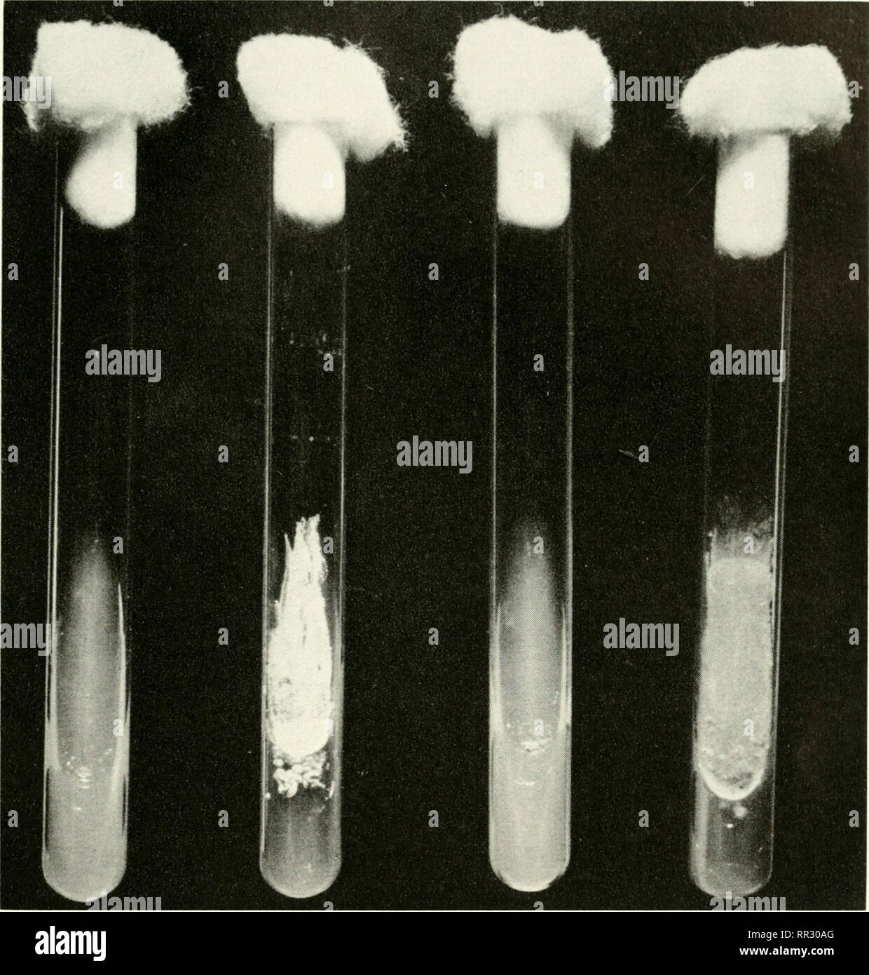 Chemisch glucose Fotos und Bildmaterial in hoher Auflösung Alamy