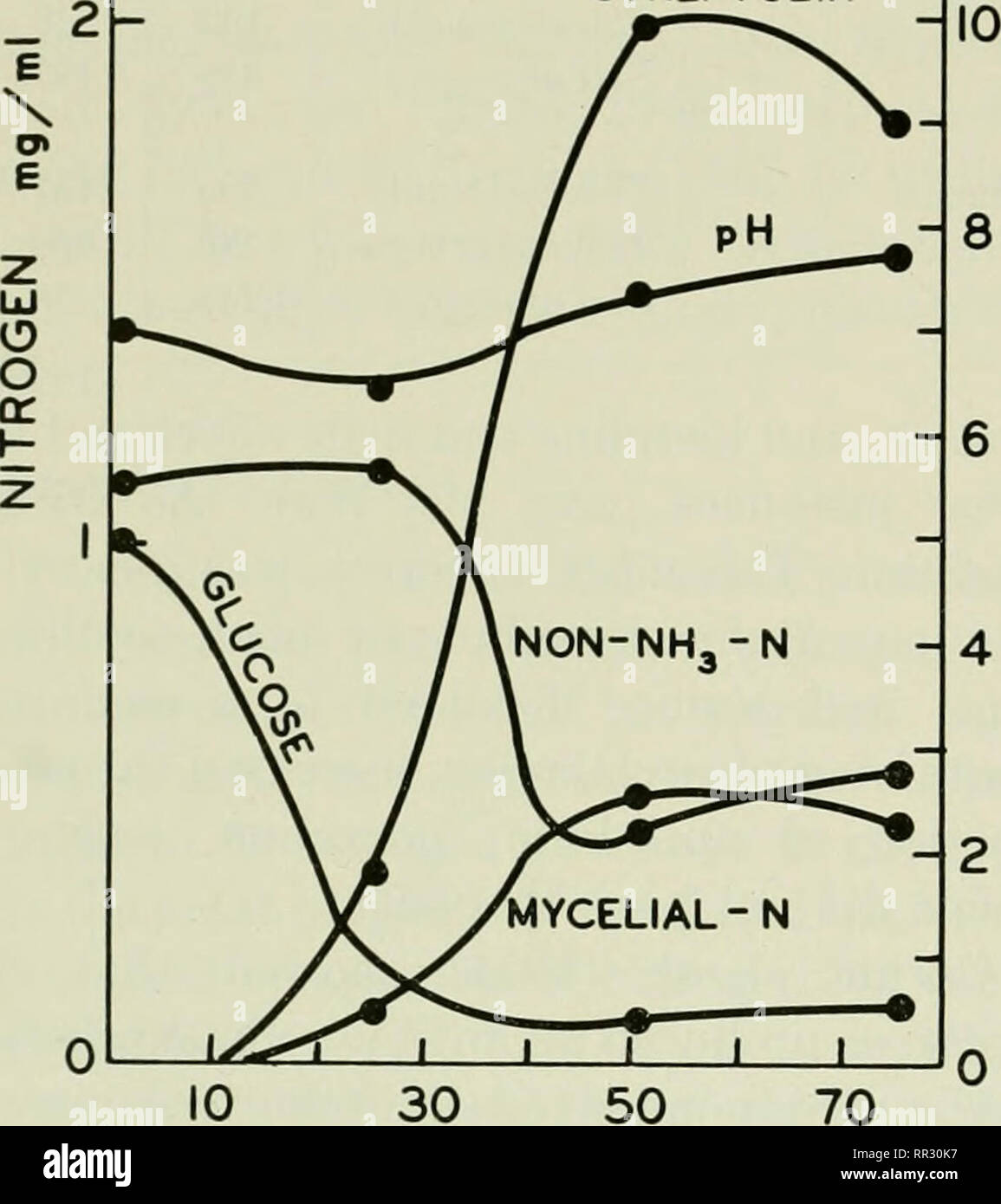 . Die actinomyceten. Actinomycetales. 128 Die ACTINOMYCETEN, Vol. I J^ACTIC STREPTOLIN. 14 12 30 50 Stunden Abbildung 60. Änderungen des Stoffwechsels durch eine streptolin-bildenden Streptomyces. Streptolin, Einheiten 10^ml; GLUKOSE - mg/ml; Milchsäure, mg/ml (Repro - durch besondere Erlaubnis: Rivett, R. W. und Peterson, W. H. J. bin. Chem. Soc. 69: 3007, 1947). DL-Threonin; beste Produktion von neomycin, mit alpha-Alanin, L-Asparaginsäure und DL-Säuren, L- und D-ghitamic Säuren, L-Histidin, L-Prolin, DL-Threonin und N - Z Amin. Einige Actinomyceten, insbesondere nocardias, attack Proteine zu einer eher hmited Degre Stockfoto