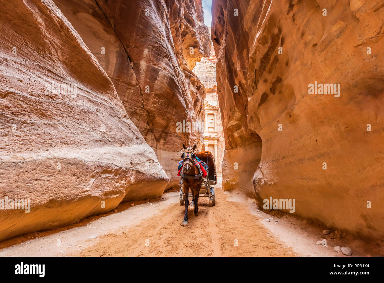 Der Siq, den schmalen Schlitz - Canyon, dient als Eingang Passage, die Verborgene Stadt Petra, Jordanien Stockfoto