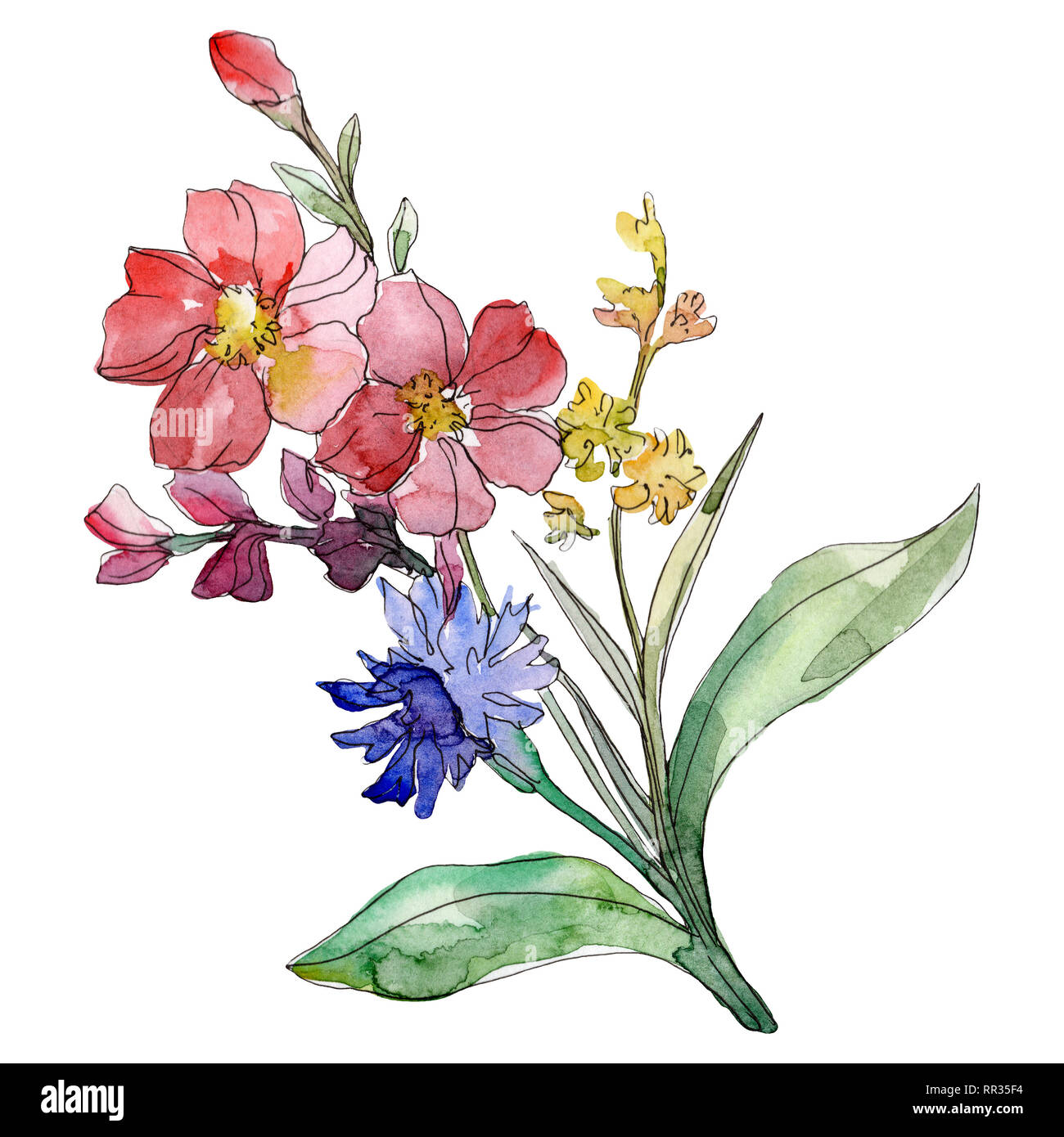 Rote und blaue geblümte botanischen Blumen. Aquarell Hintergrund Abbildung. Isolierte blumenstrauß Abbildung Element. Stockfoto