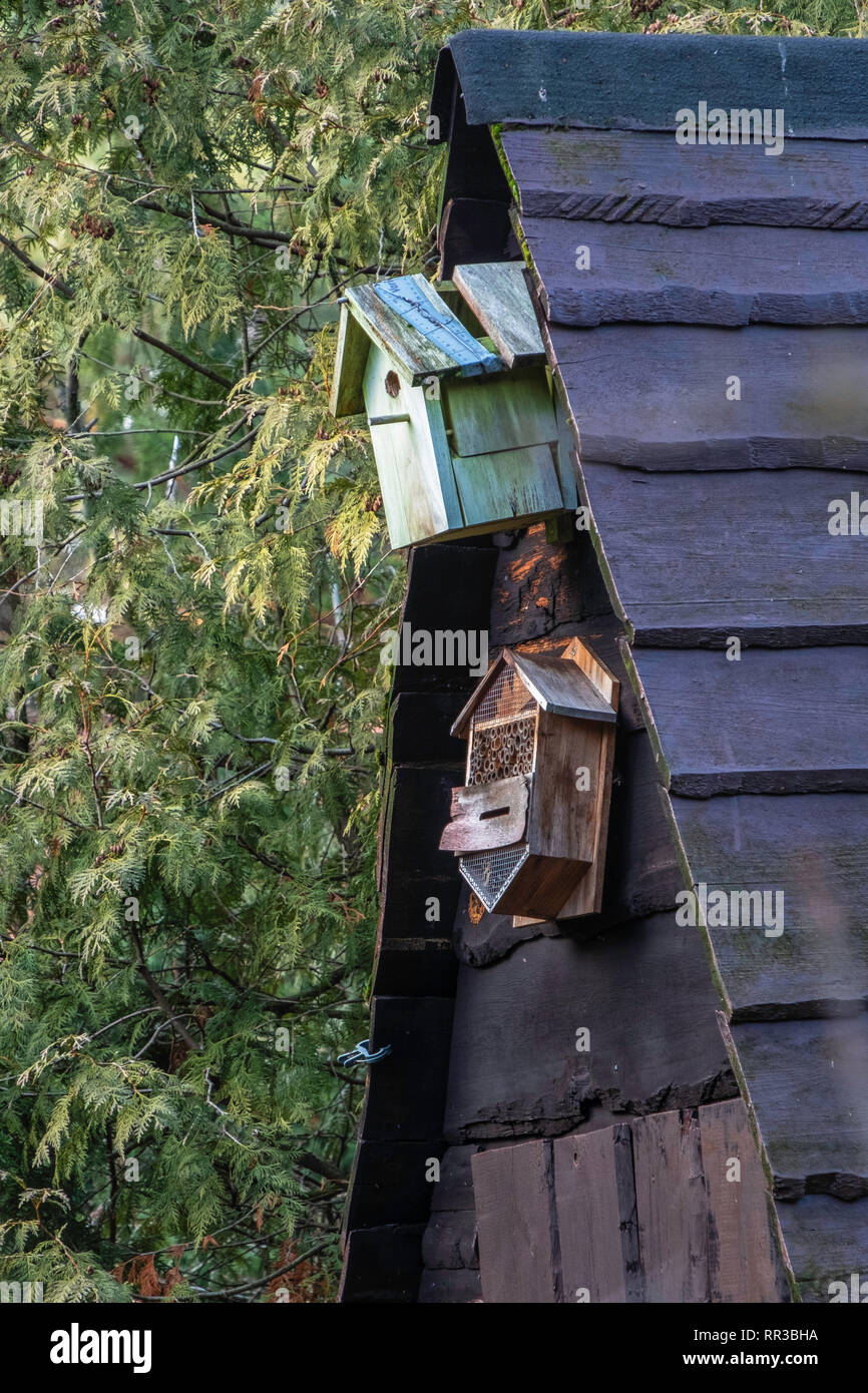 Waldsiedlung Krumme Lanke, Berlin. Vogel Nistkasten, Zucht, in suburban Garden Stockfoto