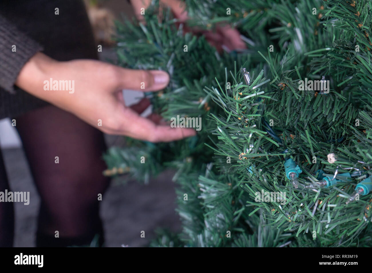 Hände entwirren einen künstlichen Weihnachtsbaum ohne Verzierungen. Stockfoto