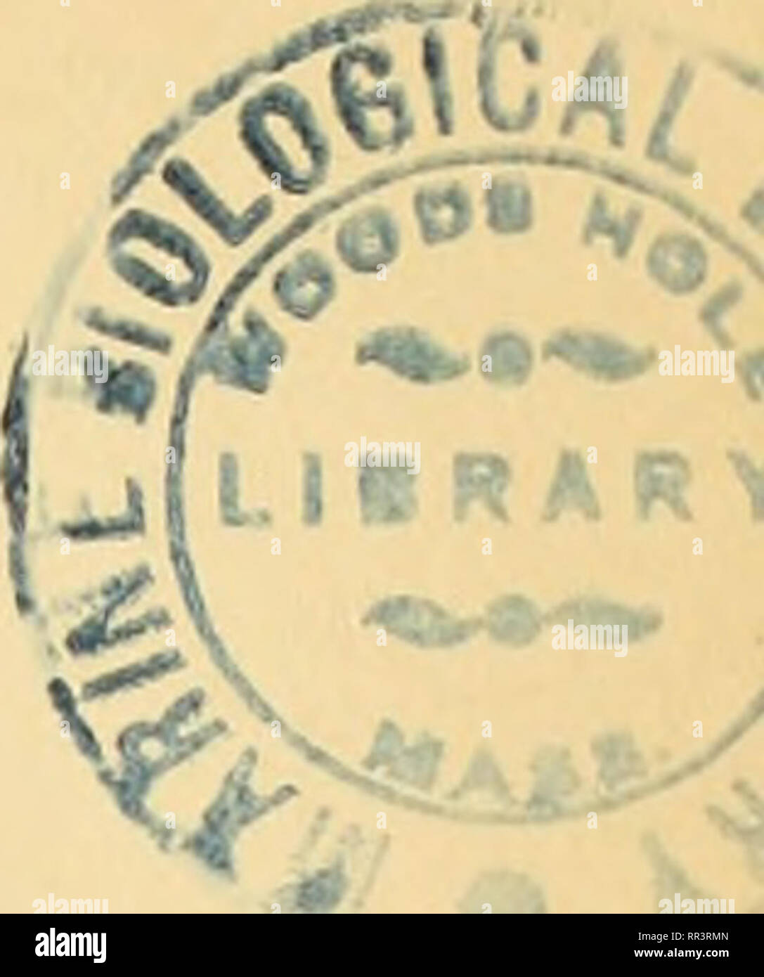 . Acta Societatis Scientiarum Fennicae. Wissenschaft. Sur In mesure des eourants électriques de l'atmosphère. 5 l'appareil Placé plus haut Pu et l'appareil plus bas P^Deux Plaketten Zink de amalgamé Z "Ich et Z" n enterrées ont aussi été Angestellten. En mettant les Deux appareils dans plusieurs combinaisons différentes, Nous avons Beispiele des Ergebnisse d'où l'on peut Tyrer des Schlussfolgerungen sur les propriétés de ces appareils. Nous les citerons au fur et à mesure, comme Elles sind citées dans le Mémoire III "Courant Électrique de l'atmosphère" du Vol.III des" Explora- Internationale des régions Pola Stockfoto