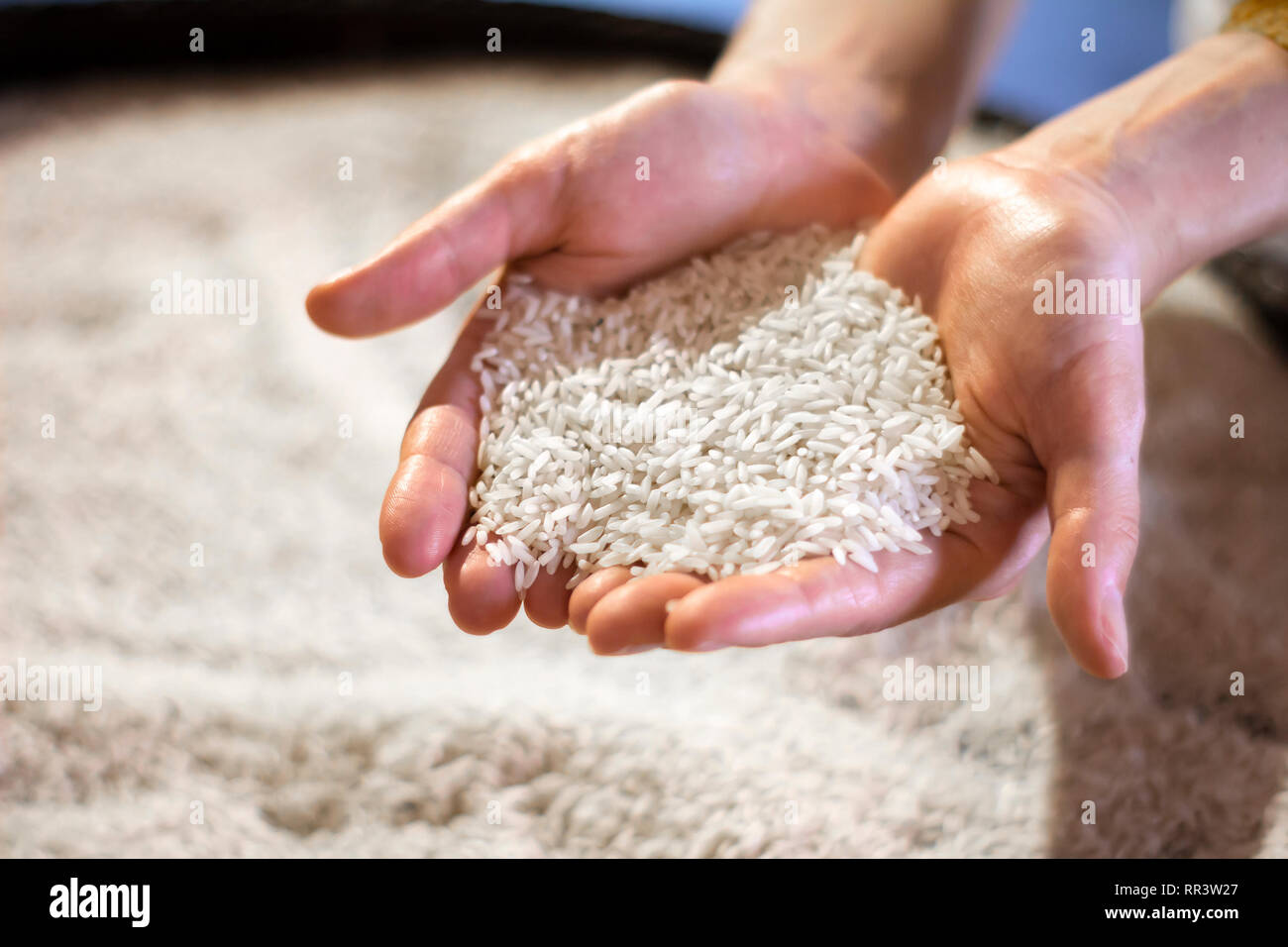 Frau Hände halten weißer Reis Stockfoto