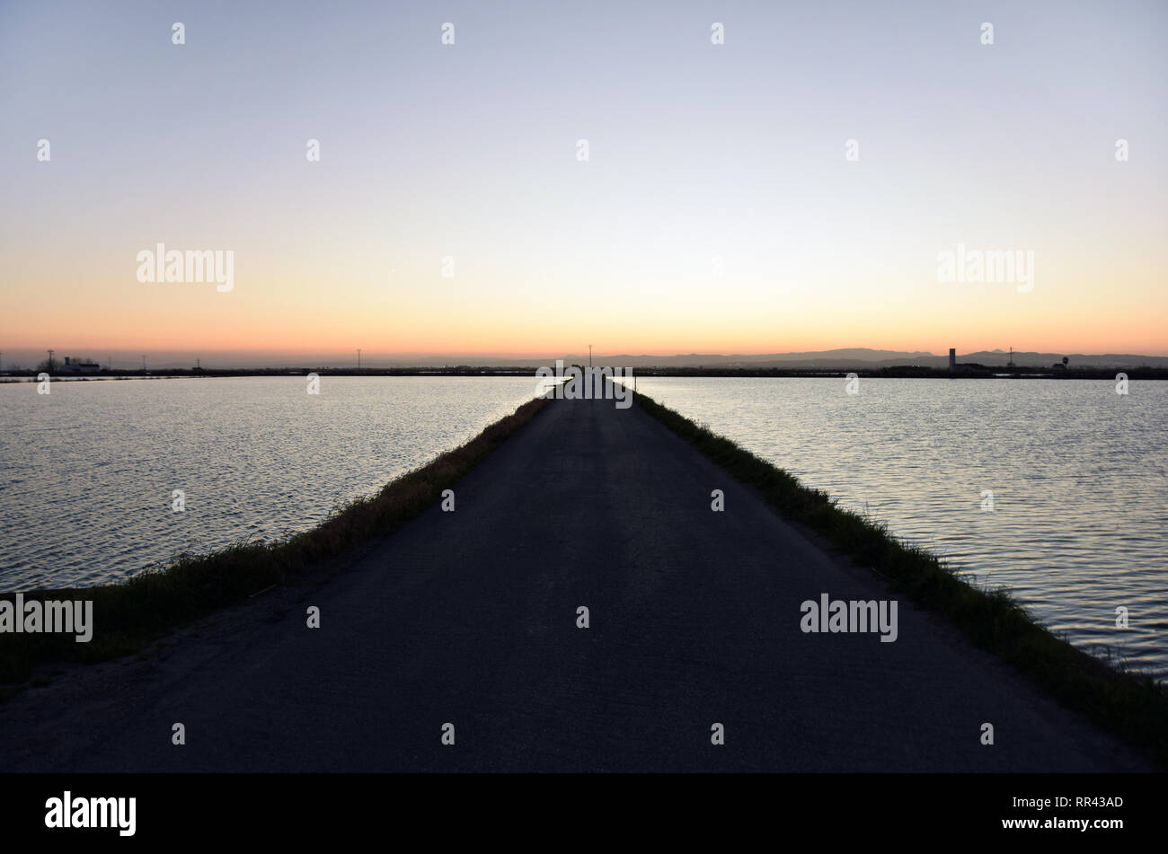 Eine Straße zwischen 2 Reis Felder in der Alfubera Park bei Sonnenuntergang, südlich von Valencia, Spanien. Stockfoto