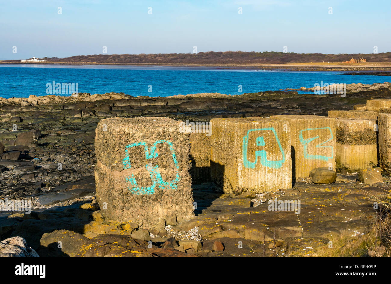 Weltkrieg Reliquien: Graffiti auf Beton Anti Tank Blocks auf der Küste, Longniddry, East Lothian, Schottland, Großbritannien Stockfoto