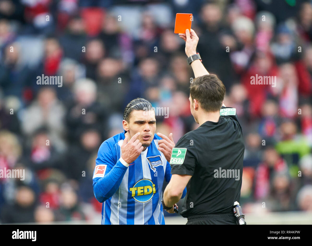 München, Deutschland. 23. Februar, 2019. Schiedsrichter Harm OSMERS mit Pfiff, Gesten, zeigt, ansehen, einzelne Maßnahmen, zeigt rote Karte zu Karim REKIK, Hertha 4 FC BAYERN MÜNCHEN - Hertha BSC Berlin 1-0-DFL-Bestimmungen verbieten die Verwendung von Fotografien als BILDSEQUENZEN und/oder quasi-VIDEO - 1. Deutsche Fussball Liga, München, 23. Februar 2019 Saison 2018/2019, Spieltag 24, FCB, München, © Peter Schatz/Alamy leben Nachrichten Stockfoto