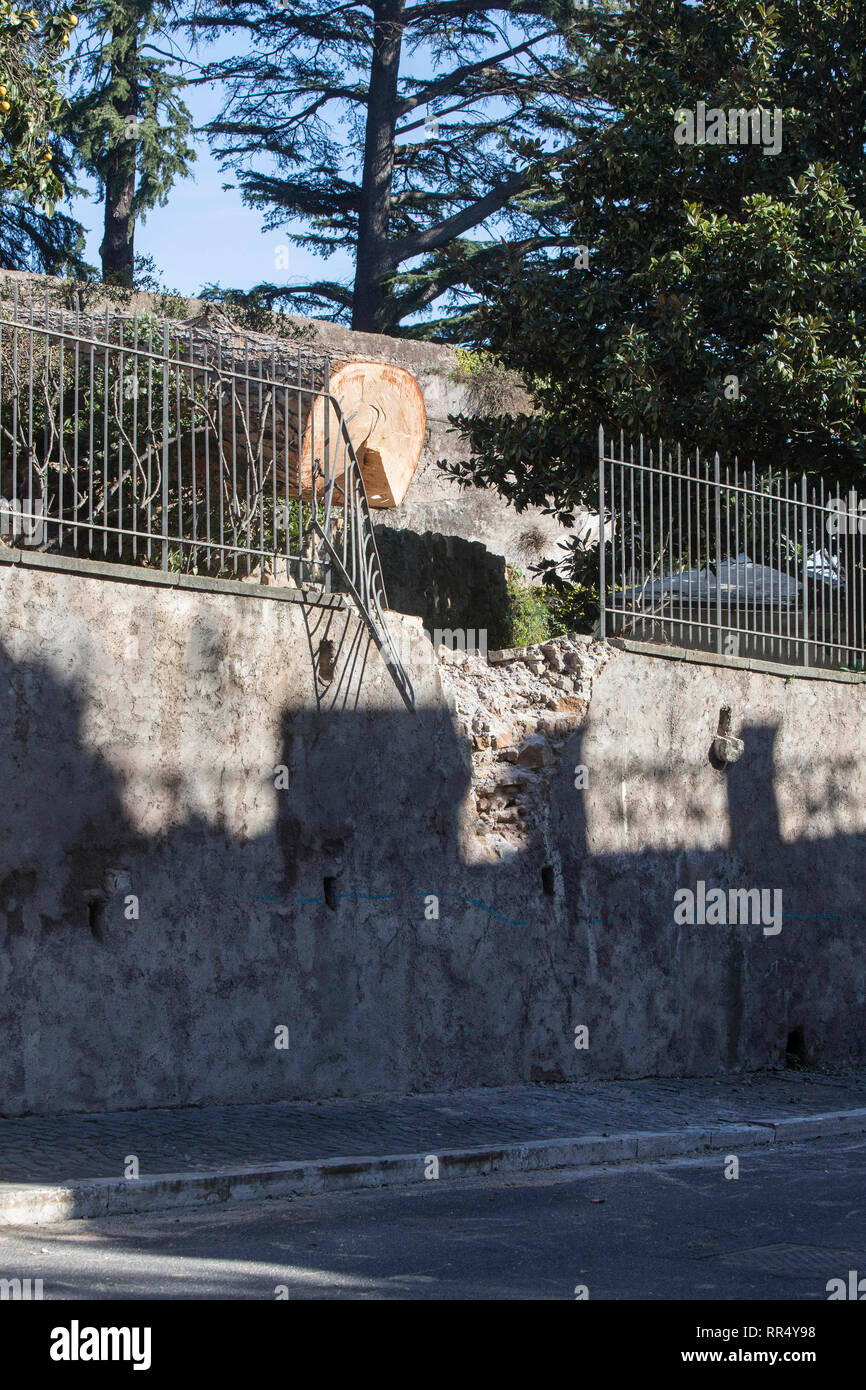 Foto LaPresse - Andrea Panegrossi 24/02/2019 - Roma, Italia. CRONACA Maltempo, Ville chiuse pro Il Forte Vento. Un grosso Pino caduto ieri in der Via Garibaldi al Gianicolo Foto Andrea Panegrossi LaPresse - 24/02/2019 - Rom, Italien, schlechtes Wetter, Villen zu wegen dem starken Wind Stockfoto