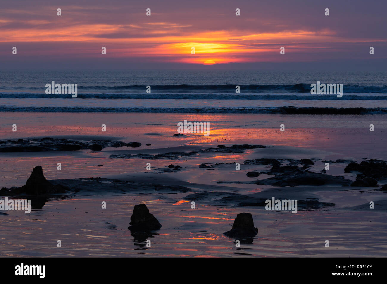 Borth, Ceredigion, Wales, Großbritannien, 24. Februar 2019 UK Wetter: die Sonne über dem Wasser Wald entlang Borth Strand, Ceredigion, Wales. Credit: Ian Jones/Alamy Leben Nachrichten. Stockfoto