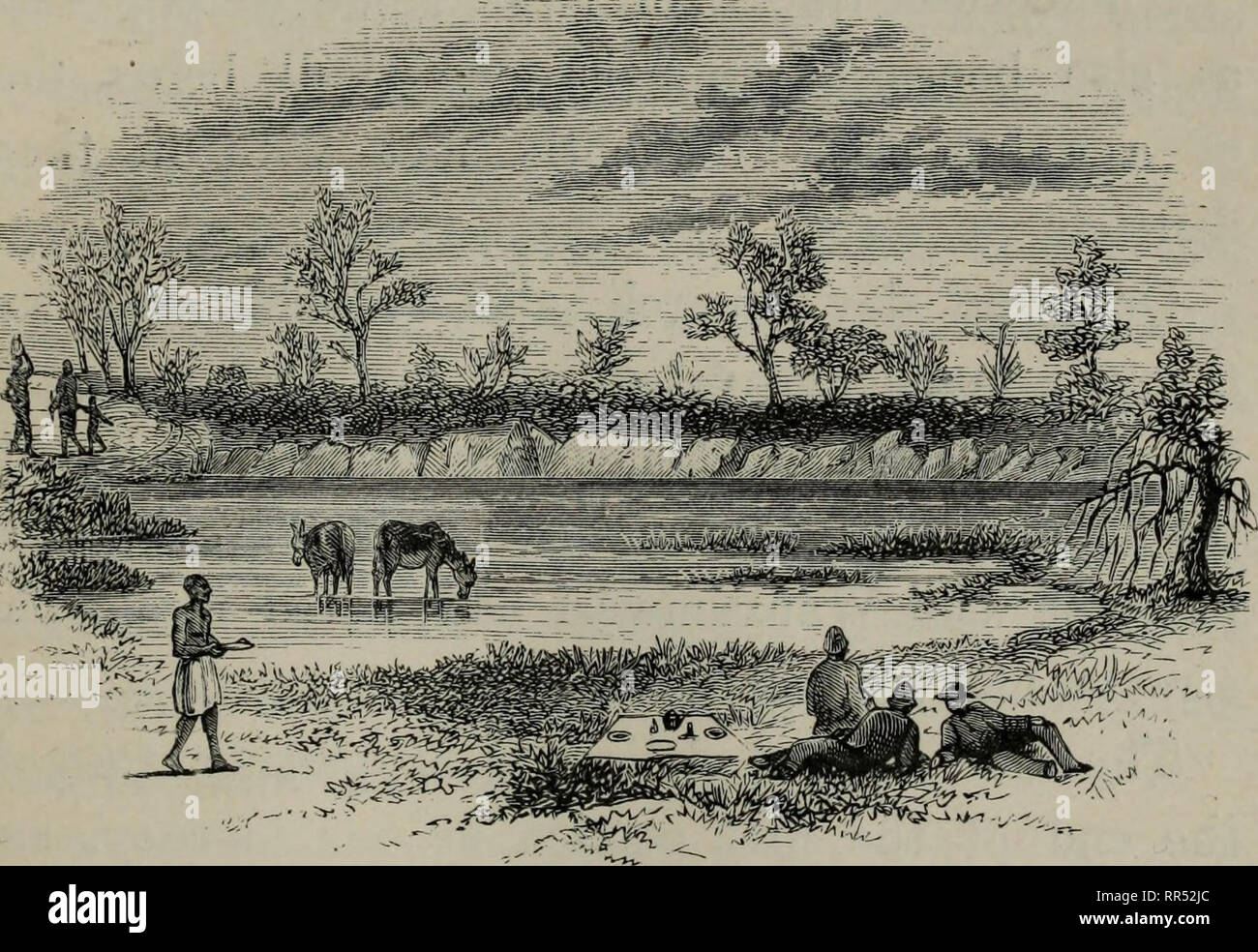 . In ganz Afrika. Botanik. VIIL] Die MABUNGURU NULLAH. 131 sehr zahlreich von diesem Teich, und ich habe mindestens Juli, zehn verschiedene Sorten. . Wieder durch ähnliche Land marschieren, erreichten wir die Mabunguru nullah, dem westlichsten wohlhabenden Der Euaha, über den Sonnenuntergang. Auch in diesem Zeitraum von der trockenen Jahreszeit war es fast ein Fluss, erstreckt sich von seinen Kanal ein oder zwei Meilen in der Länge. Eindämmung - Ort in der Nähe eines Teiches. voll Wasser und von einander nur durch Sand getrennt, Banken und Bars des Rock aus fünfzig bis hundert Meter breit. Diese Bäche wurden jetzt 30 Yards herüber, und es waren Zeichen des w Stockfoto