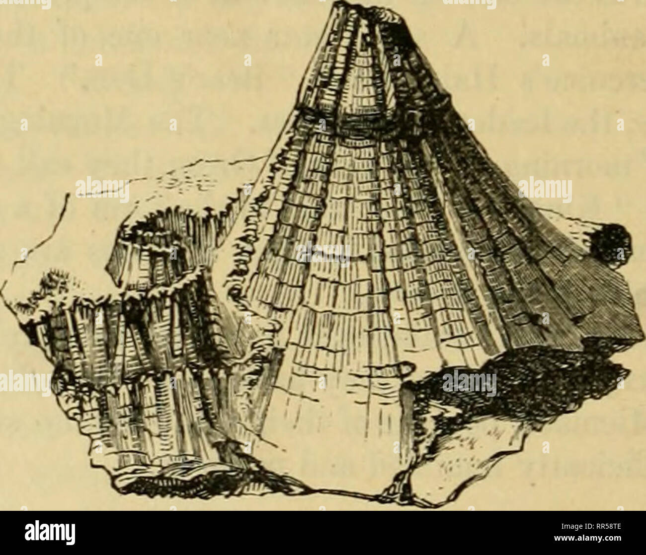 . Acadian Geologie: Geologische Struktur, organische Reste, und mineralischen Ressourcen von Nova Scotia, New Brunswick und Prince Edward Island. Geologie - New Brunswick; Geologie - Neuschottland; Geologie - - Prince Edward Island; Paläontologie - New Brunswick; Paläontologie - Neuschottland; Paläontologie - Prince Edward Island. 676 ANHANG. ist in einem Lastkahn, der gräbt einen Kanal, in dem er schwimmt wie die Arbeit geht. Druck ist nicht beschäftigt. Torf in dieser Weise vorbereitet ist bei 4 dols verkauft. pro Tonne in Montreal, und vorteilhaft für die Pro-duktion von Dampf und in inländischen Feuer Stockfoto