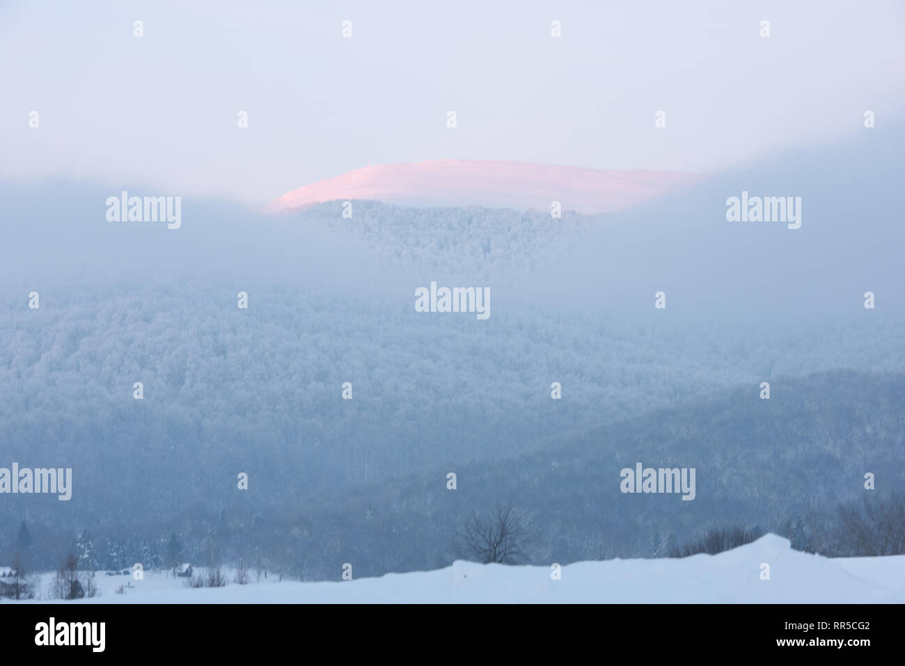 Mystic Winterlandschaft Foggy Laubwald Berge Hintergrund Reisen ruhigen malerischen Landschaft mit Pink Cloud Stockfoto