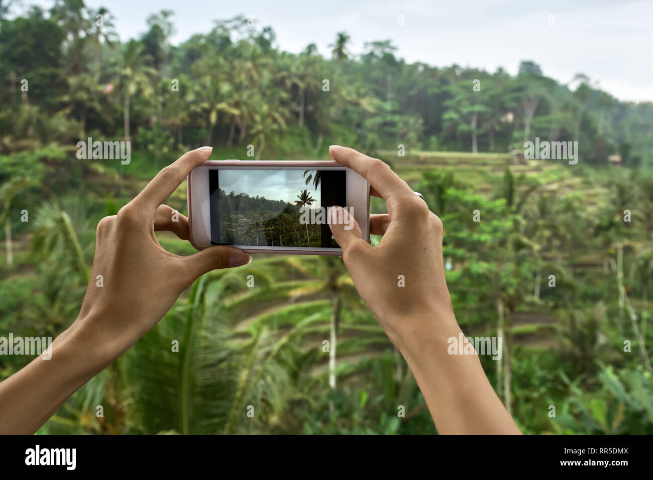 Frau schießen Foto auf terrassierten Reisfeldern Hintergrund auf Bali Stockfoto