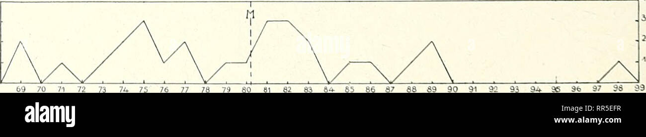 . Abhandlungen und Berichte des Koniglichen Zoologischen und Anthropologisch-Ethnographischen Museen zur Dresden.. Abb. 35. Torricelligebirge. Index labio-Mandibularis. 1. Index labio-Mandibularis = 2. Index naso-labiali Zur 1,5 dieses Maßes einfach zwei Indizes in Vorschlag bringen, sterben. Ähnlich wie sterben Naso-Facialindices, dazu beitragen können, das physiognomische Bild zu analysieren. Sterben Nummern-oper Relationen heißen: Mundbreite • 100 Unterkieferbreite Nasenbreite • 100 Mund breite. Yig. 36. Torricelligebirge. Iudex naso-labialis. Gruppe n M Min. Max. 6c Index f Admiralitäts-Insulane Stockfoto