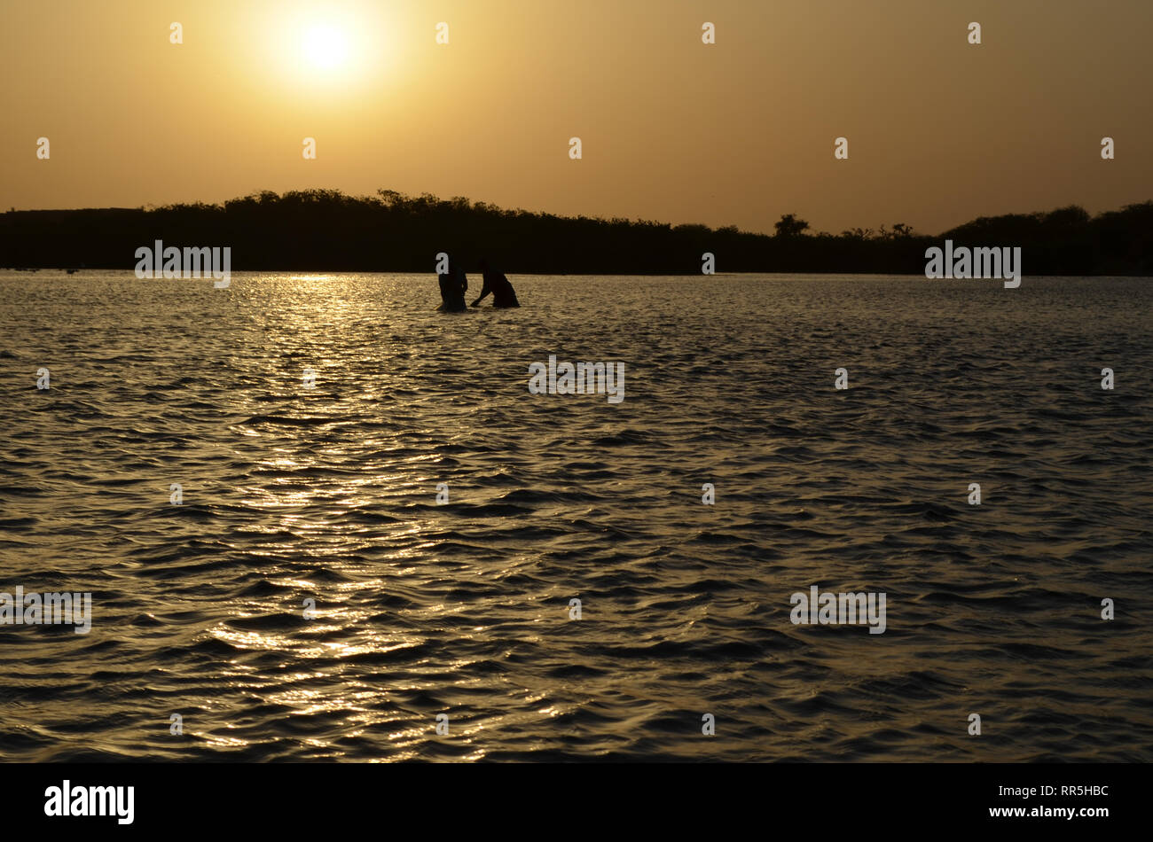 Die handwerkliche Fischerei in den Mangroven der Saloum delta, Senegal Stockfoto