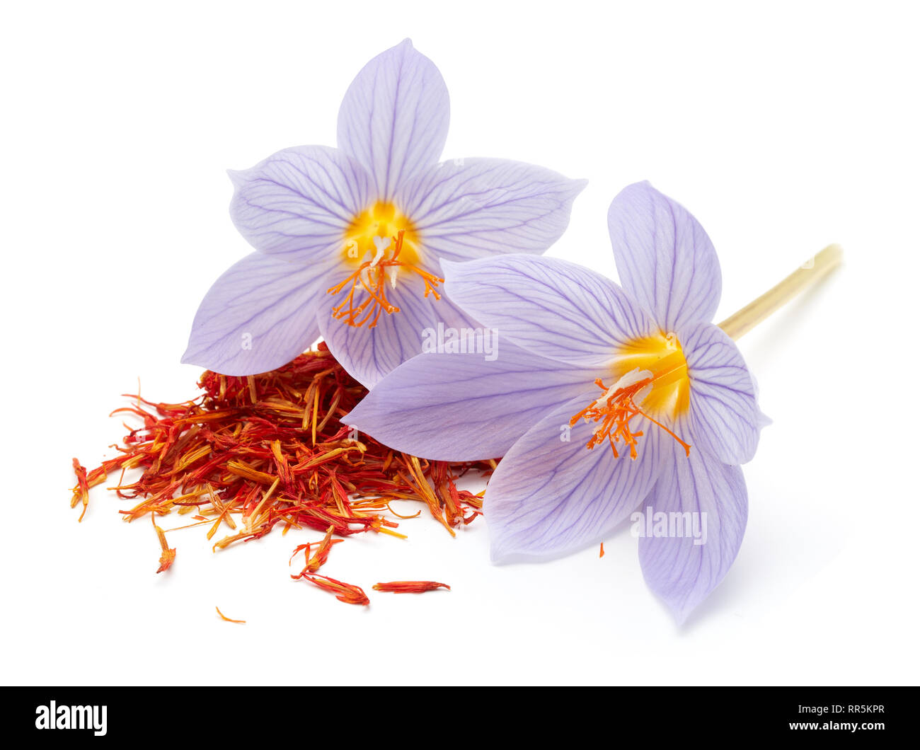 Safran mit Crocus Blume auf weißem Hintergrund Stockfoto