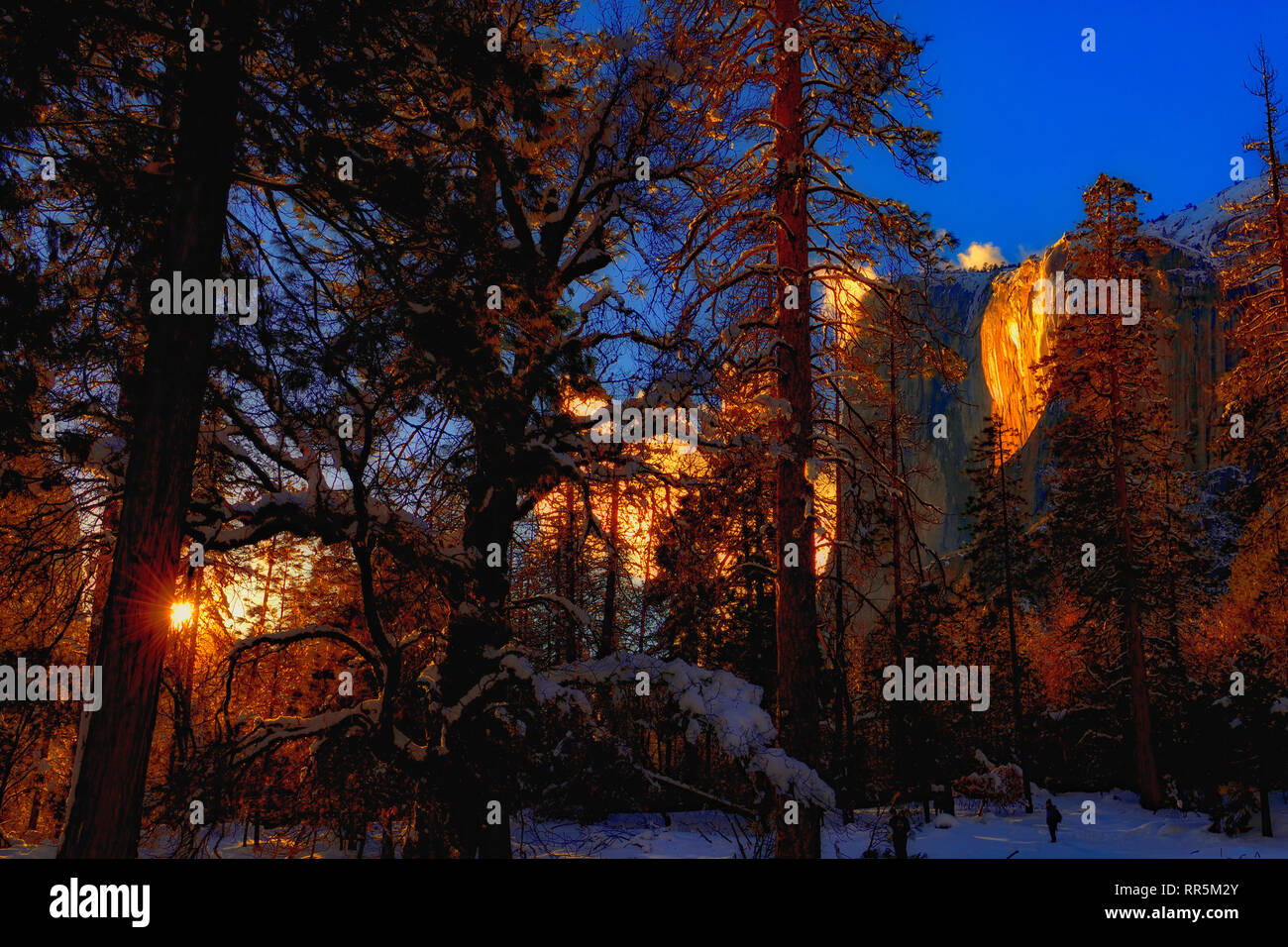 Schachtelhalm Fallen im Yosemite National Park Stockfoto