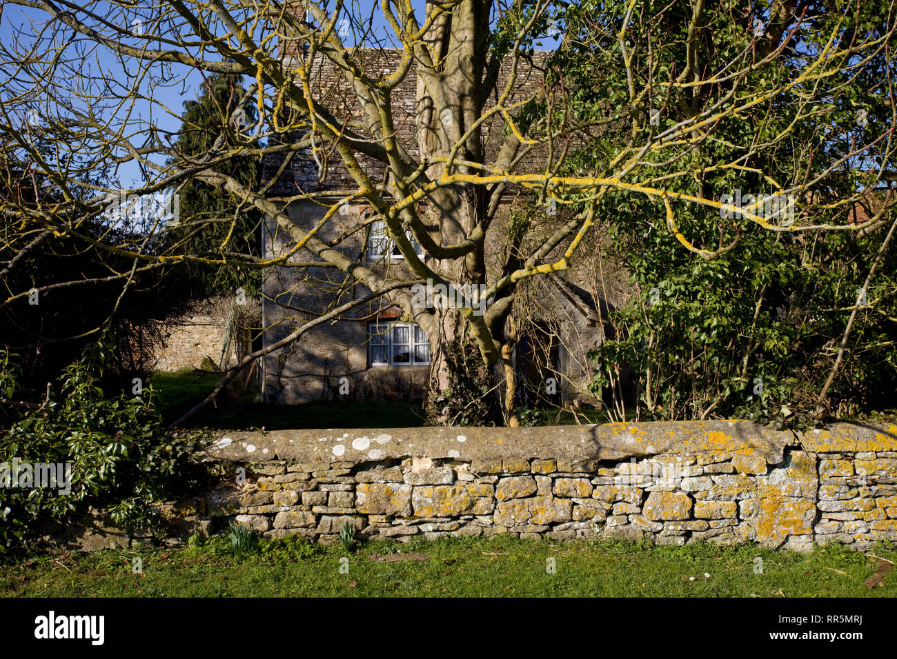 Altes Steinhaus hinter Mauer aus Stein und Baum Stockfoto