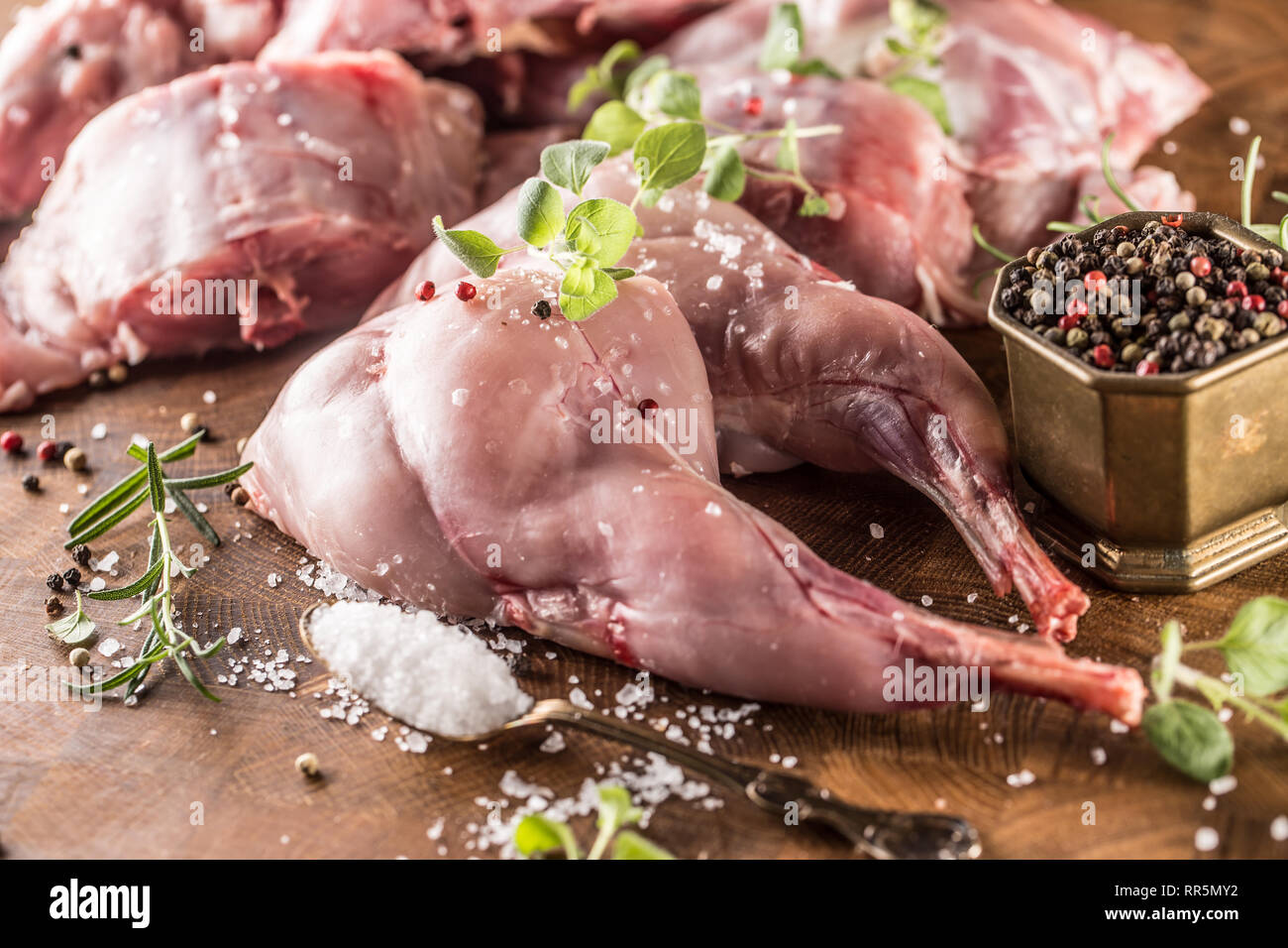 Portioniert Kaninchen Beine und Sattel mit Kräutern und Gewürzen auf butcher Board. Stockfoto