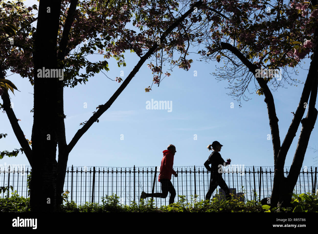 Läufer auf dem Stausee, Jogging-Pfad, Central Park, New York, USA Stockfoto