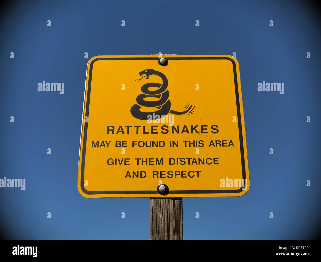 Schild "klapperschlangen kann in diesem Bereich gefunden werden. Geben Sie Distanz und Respekt" in Kalifornien, USA Stockfoto