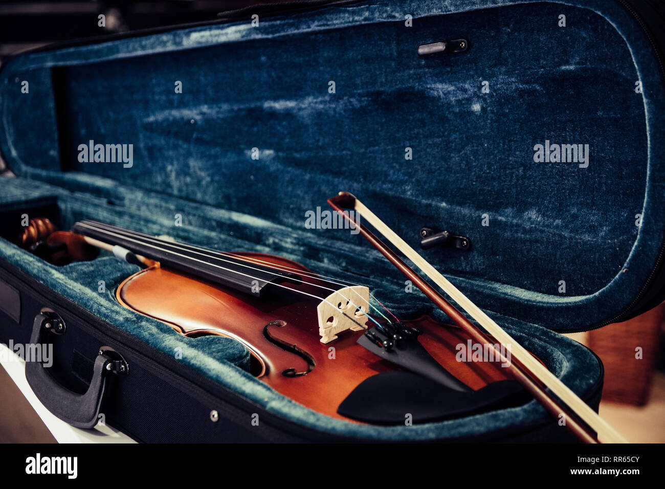 Geige auf dem Gehäuse. Blue Velvet Violine bei Music Store Stockfoto
