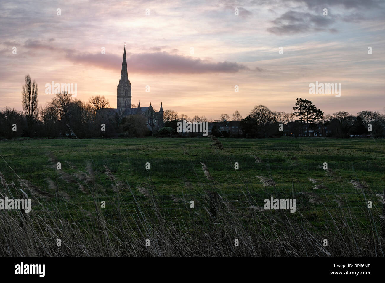 Salisbury, Wiltshire, England, Großbritannien Stockfoto