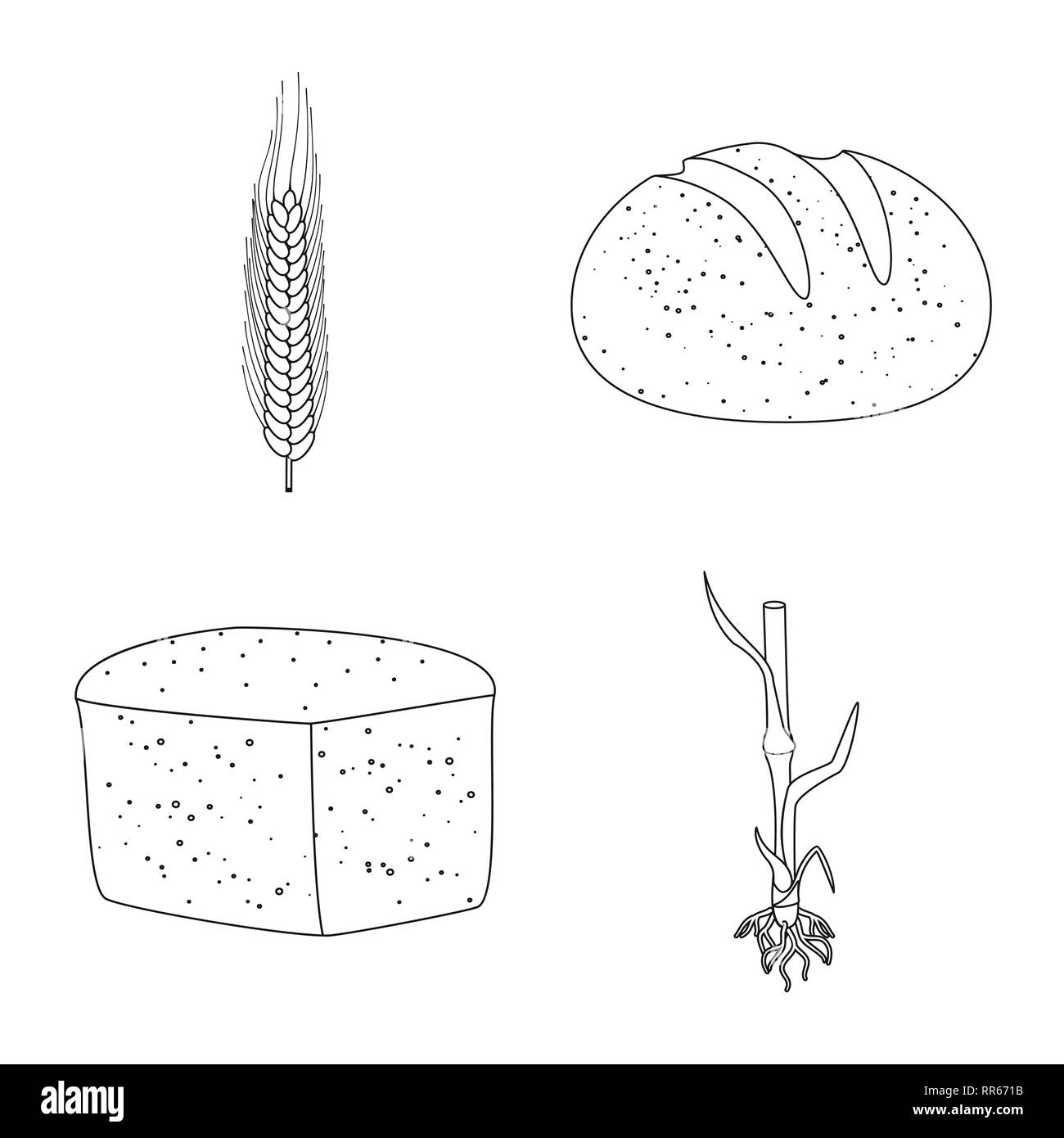 Brot, Stammzellen, Winter, root, Hartweizen, Frühstück, gesund, Saatgut, Erntegut, Brötchen, Kohlenhydrat, Wachsen, Maisfeld, Laib, Zyklus, Stroh, Wachstum, Wiese, Snack, Mehl, Blätter, ländlichen, Backen, Grün, Feder, Braun, Spike, Nahrungsmittel, Landwirtschaft, Landwirtschaft, Roggen, Weizen, Mais, Getreide, Ernte, Bauernhof, Feld, Set, Vector, Icon, Illustration, isoliert, Sammlung, Design, Element, Grafik, Zeichen, Outline, Linie Vektor Vektoren, Stock Vektor