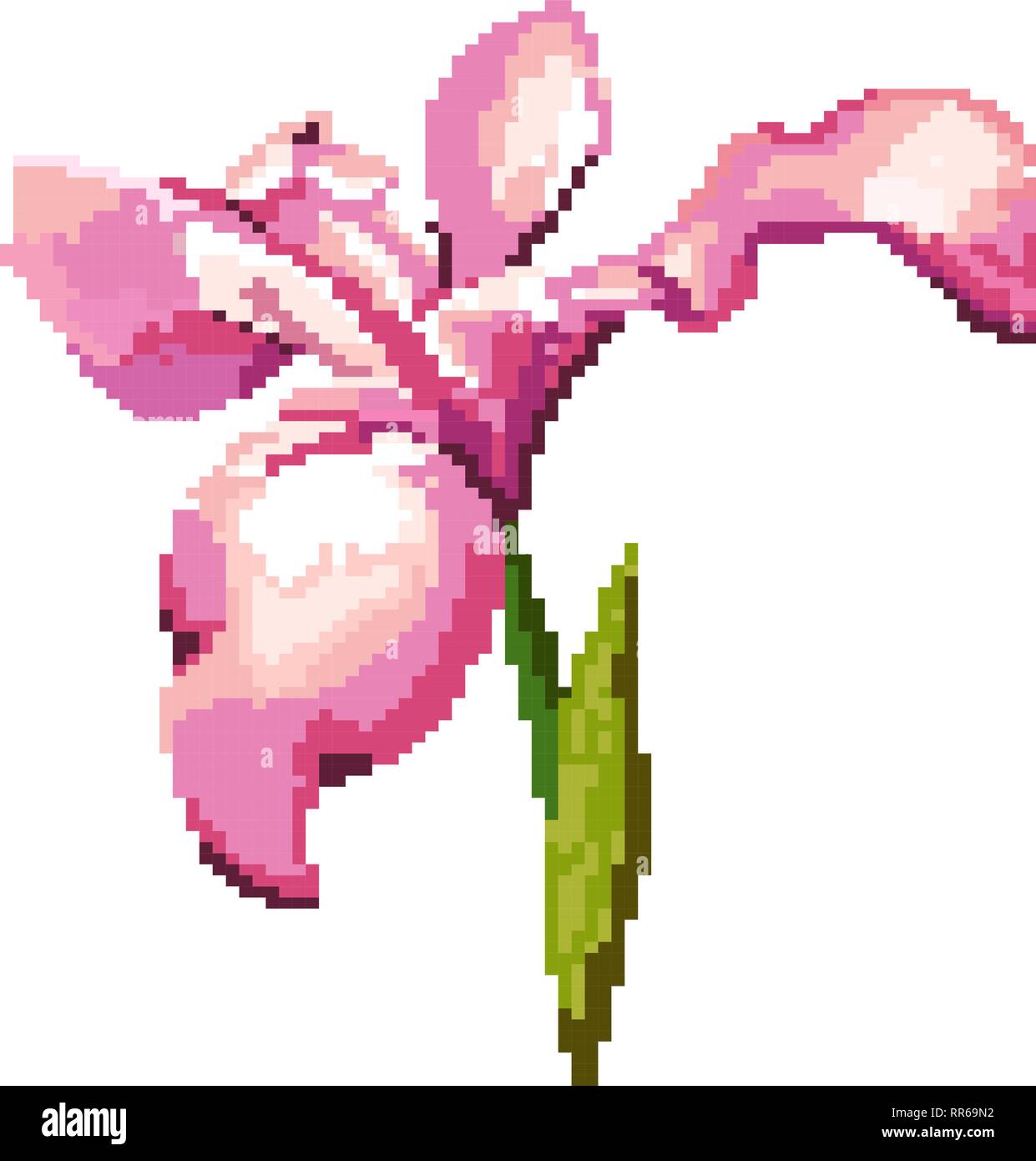 Iris auf einem weißen Hintergrund. Pixel Abbildung der Blüte. Stock Vektor