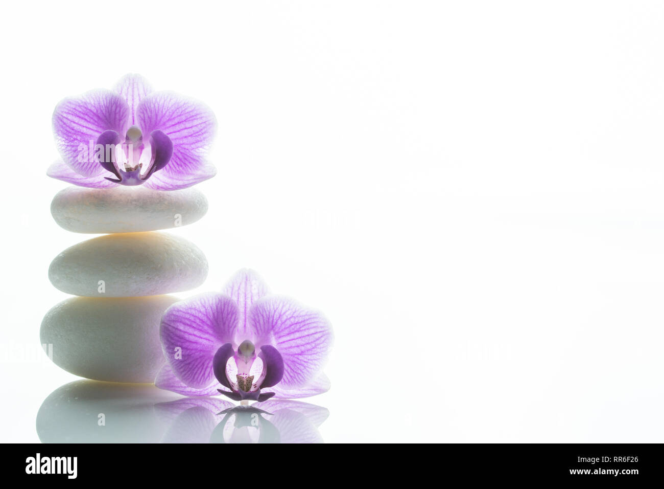 Zwei purple orchid Blossoms - man oben auf einem Stapel von drei weißen roundstones und die anderen neben ihm - viel Text Raum Stockfoto