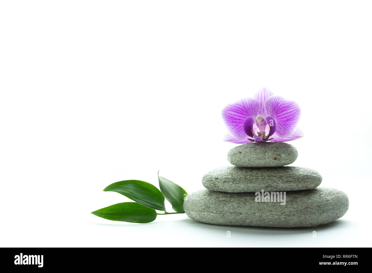 Konzept von Wellness und Ruhe - purple orchid Blossom auf drei grauen roundstones und grüne Blätter auf weißem Hintergrund Stockfoto