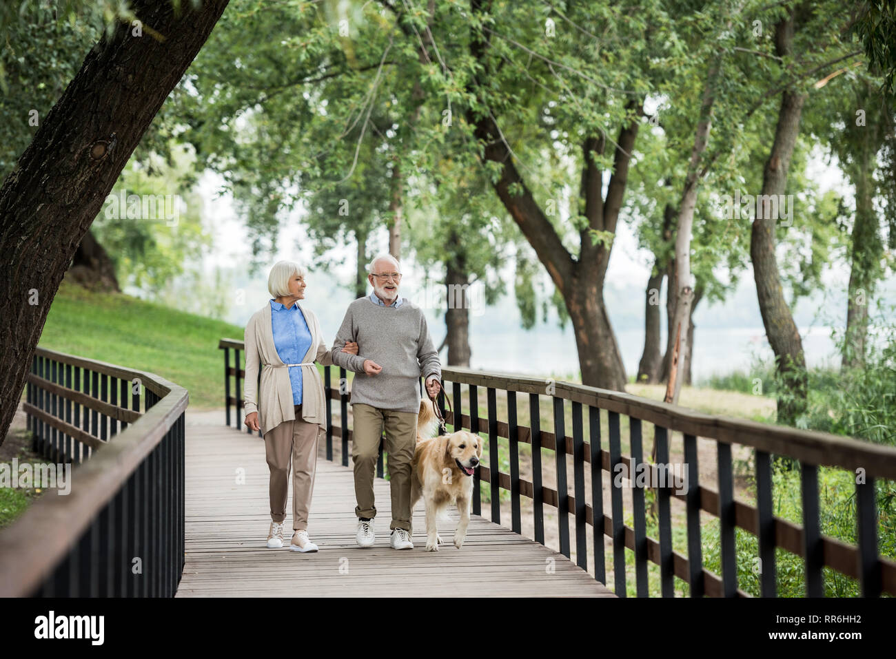 Ältere Frau und Mann gehen mit freundlicher Hund im Park Stockfoto