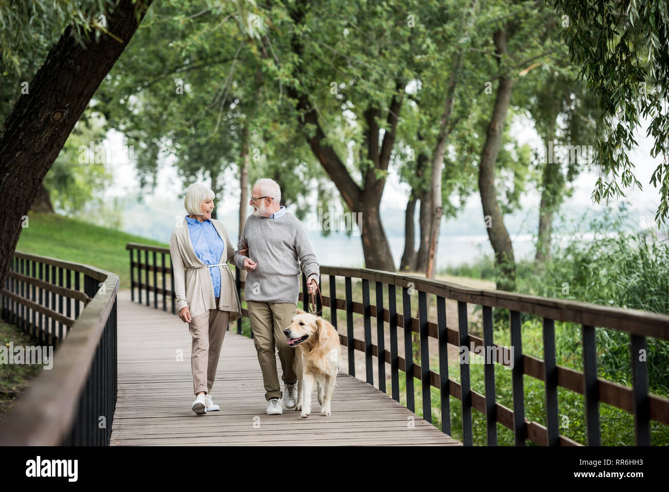 Senior Paar sprechen beim Wandern mit Hund im Park Stockfoto