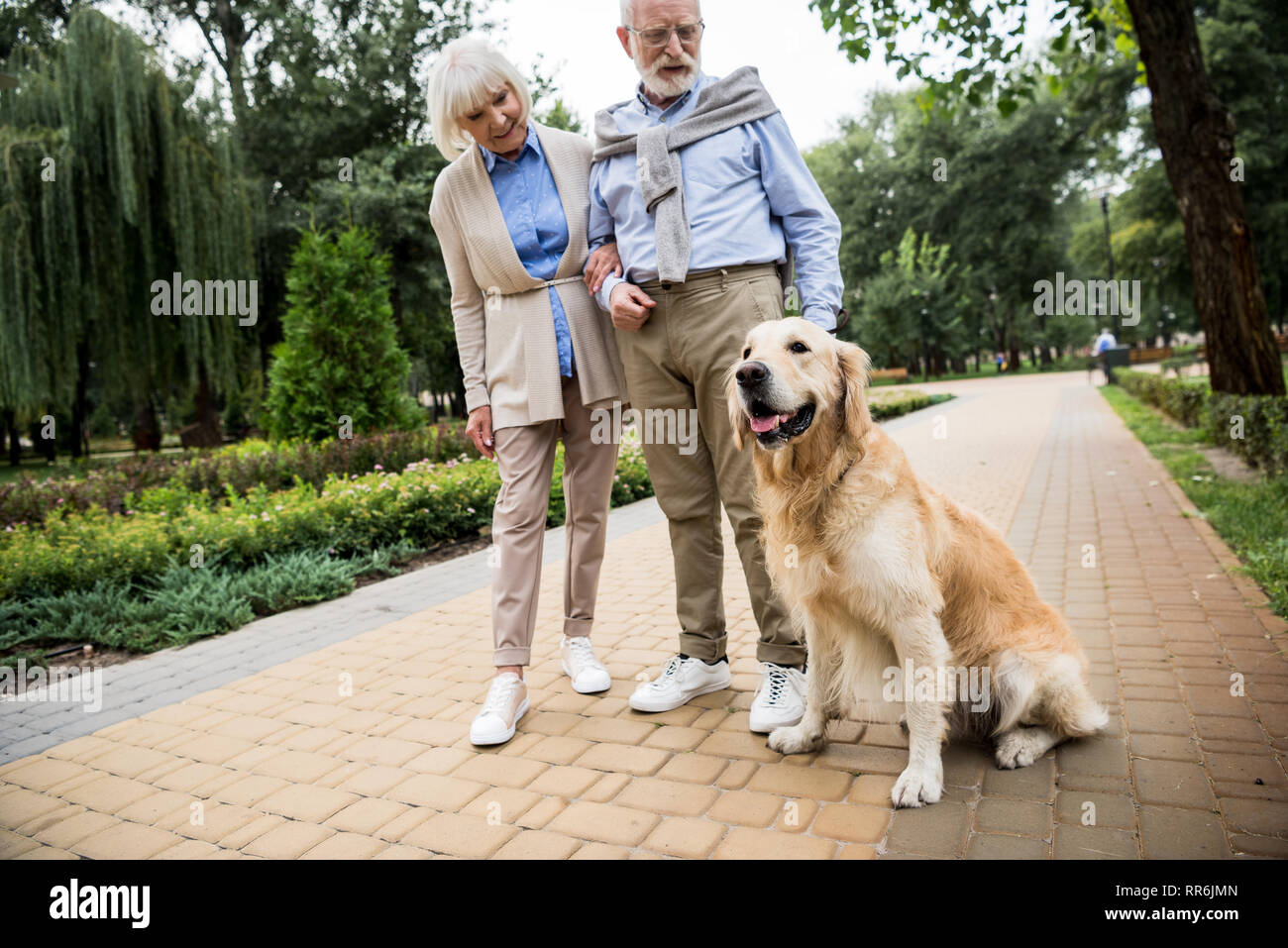 Gerne älteres Paar mit niedlichen Hund im Park Stockfoto