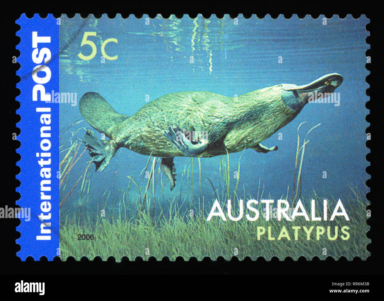 Australien - ca. 2006: einen Stempel in Australien gedruckten zeigt das Schnabeltier, Tiere Serie, ca. 2006 Stockfoto