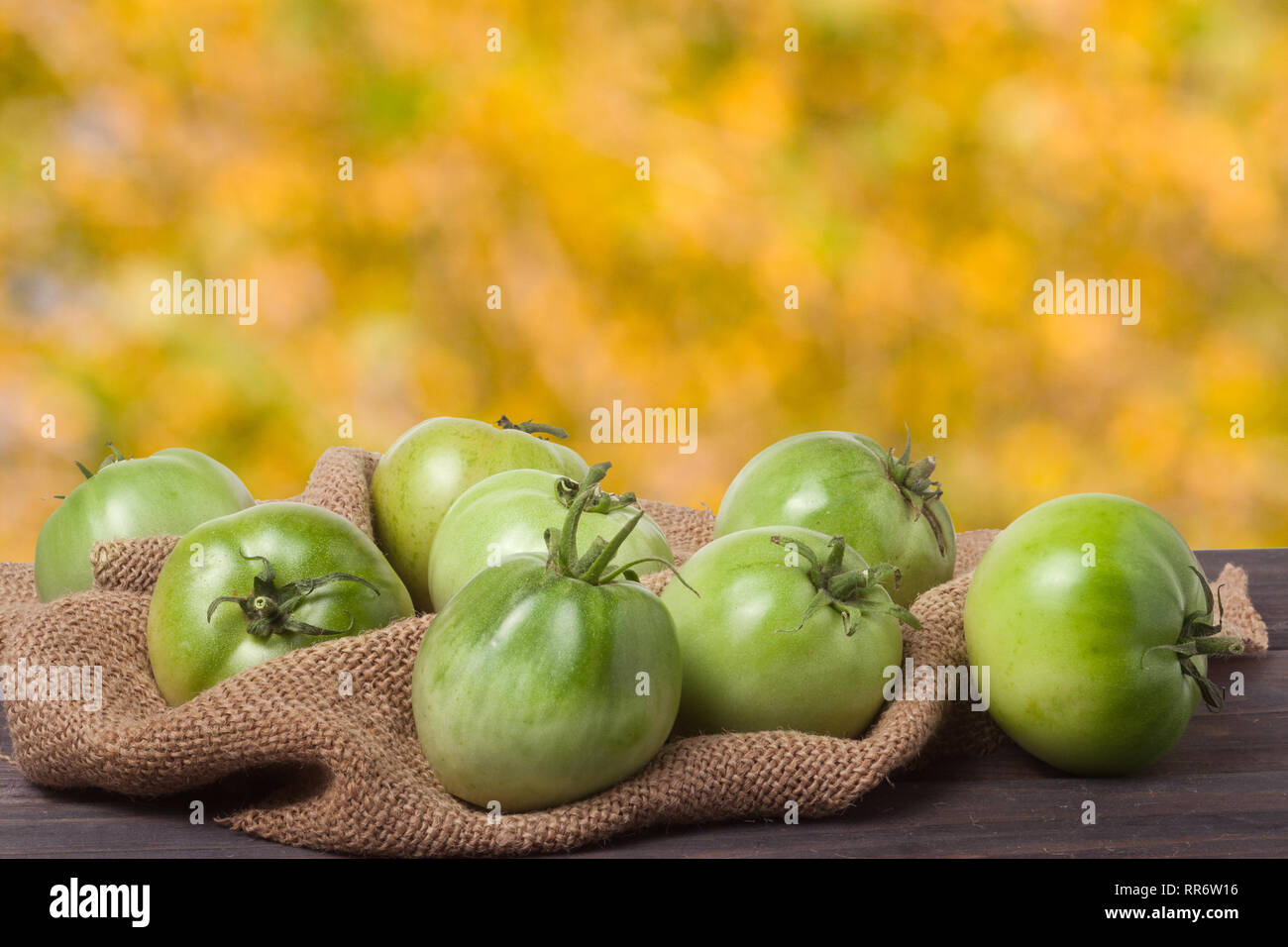 Unreife grüne Tomaten auf Sack und Holztisch mit verschwommenen Hintergrund Stockfoto