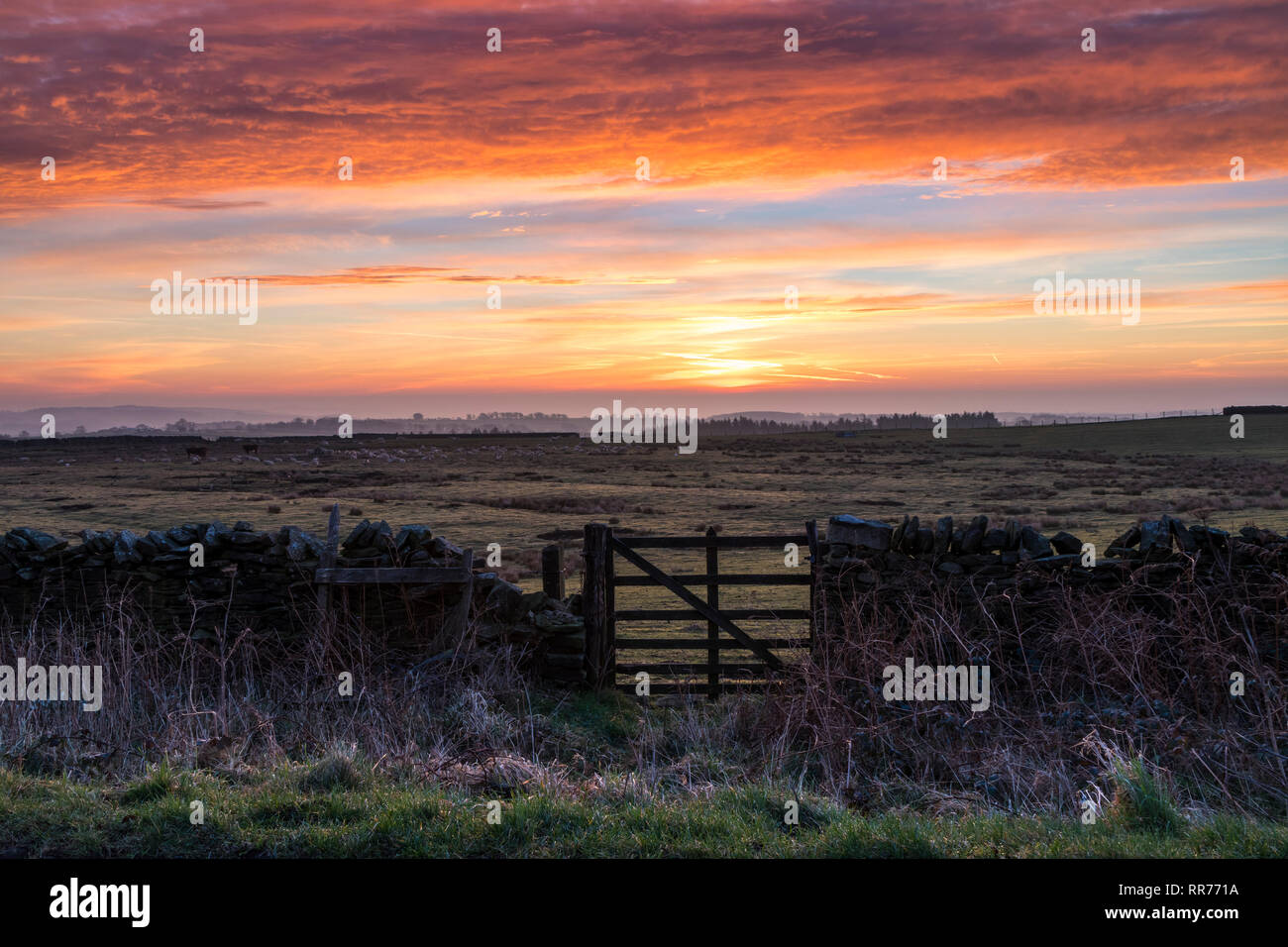 Teesdale, County Durham, UK. Montag, 25. Februar 2019. UK Wetter. Einen spektakulären Sonnenaufgang boten einen anderen Tag der ungewöhnlich warmen Wetter im Norden von England. Quelle: David Forster/Alamy leben Nachrichten Stockfoto