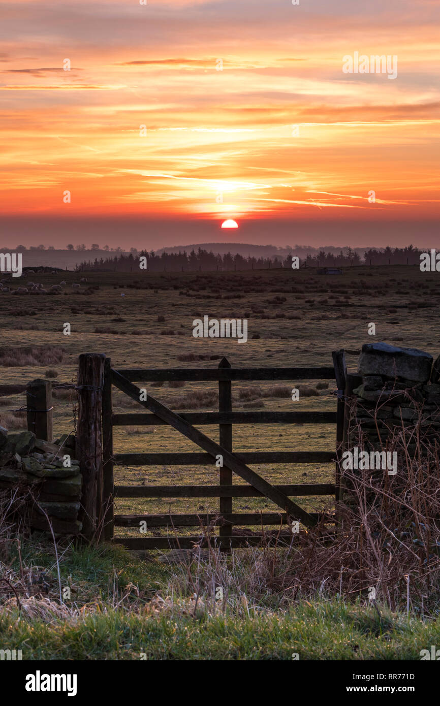 Teesdale, County Durham, UK. Montag, 25. Februar 2019. UK Wetter. Einen spektakulären Sonnenaufgang boten einen anderen Tag der ungewöhnlich warmen Wetter im Norden von England. Quelle: David Forster/Alamy leben Nachrichten Stockfoto