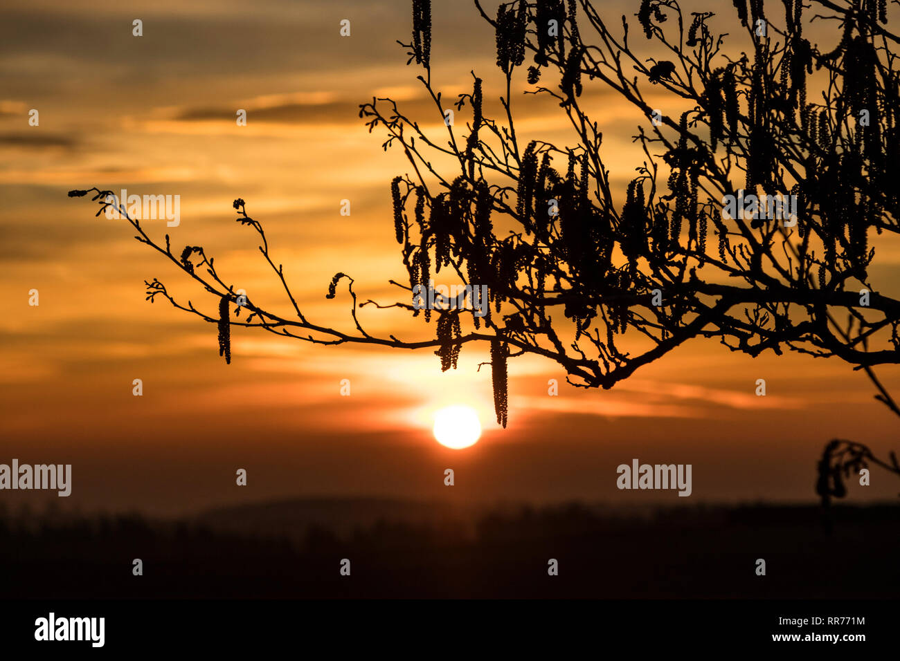 Teesdale, County Durham, UK. Montag, 25. Februar 2019. UK Wetter. Einen spektakulären Sonnenaufgang boten einen anderen Tag der ungewöhnlich warmen Wetter im Norden von England. Quelle: David Forster/Alamy leben Nachrichten Stockfoto