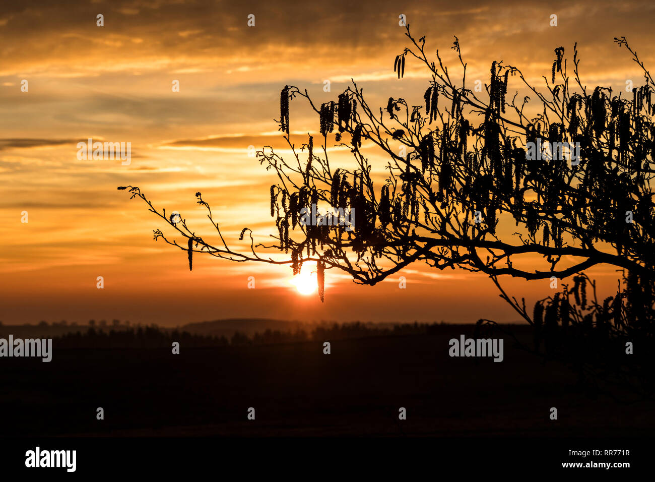 Teesdale, County Durham, UK. Montag, 25. Februar 2019. UK Wetter. Einen spektakulären Sonnenaufgang boten einen anderen Tag der ungewöhnlich warmen Wetter im Norden von England. Quelle: David Forster/Alamy leben Nachrichten Stockfoto