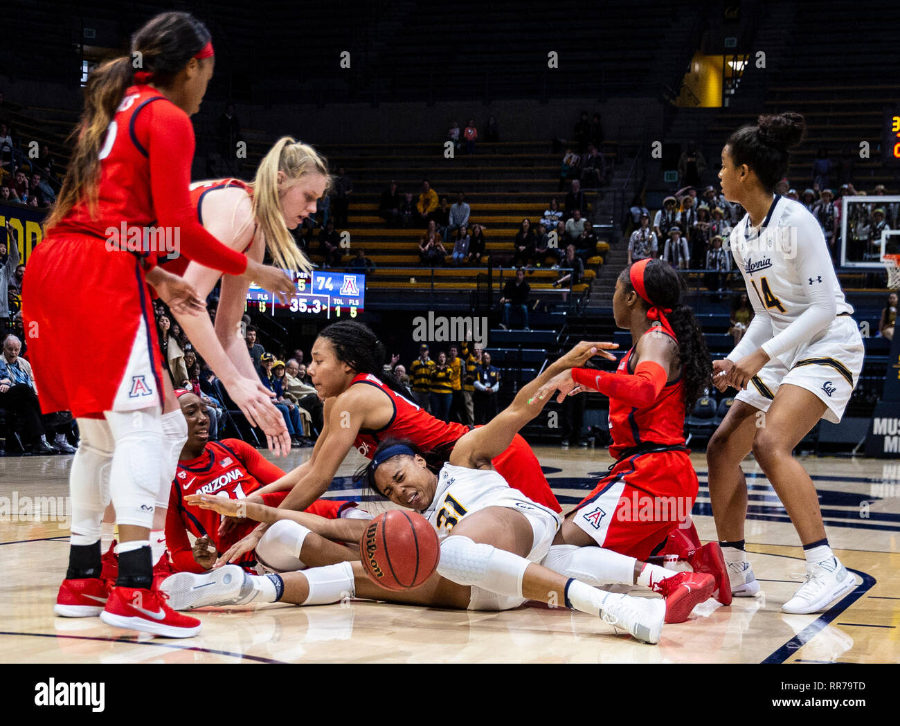 Berkeley, CA USA 24 Feb, 2019. A. in Kalifornien forward/center Kristine Anigwe (31) Kämpfe der Rückstoß von Wildkatzen Spieler während Basketball Spiel der NCAA Frauen zwischen Arizona Wildcats und den Kalifornien goldenen Bären 82-76 Gewinn an Hass Pavillon Berkeley Calif Thurman James/CSM/Alamy Leben Nachrichten umgeben Stockfoto