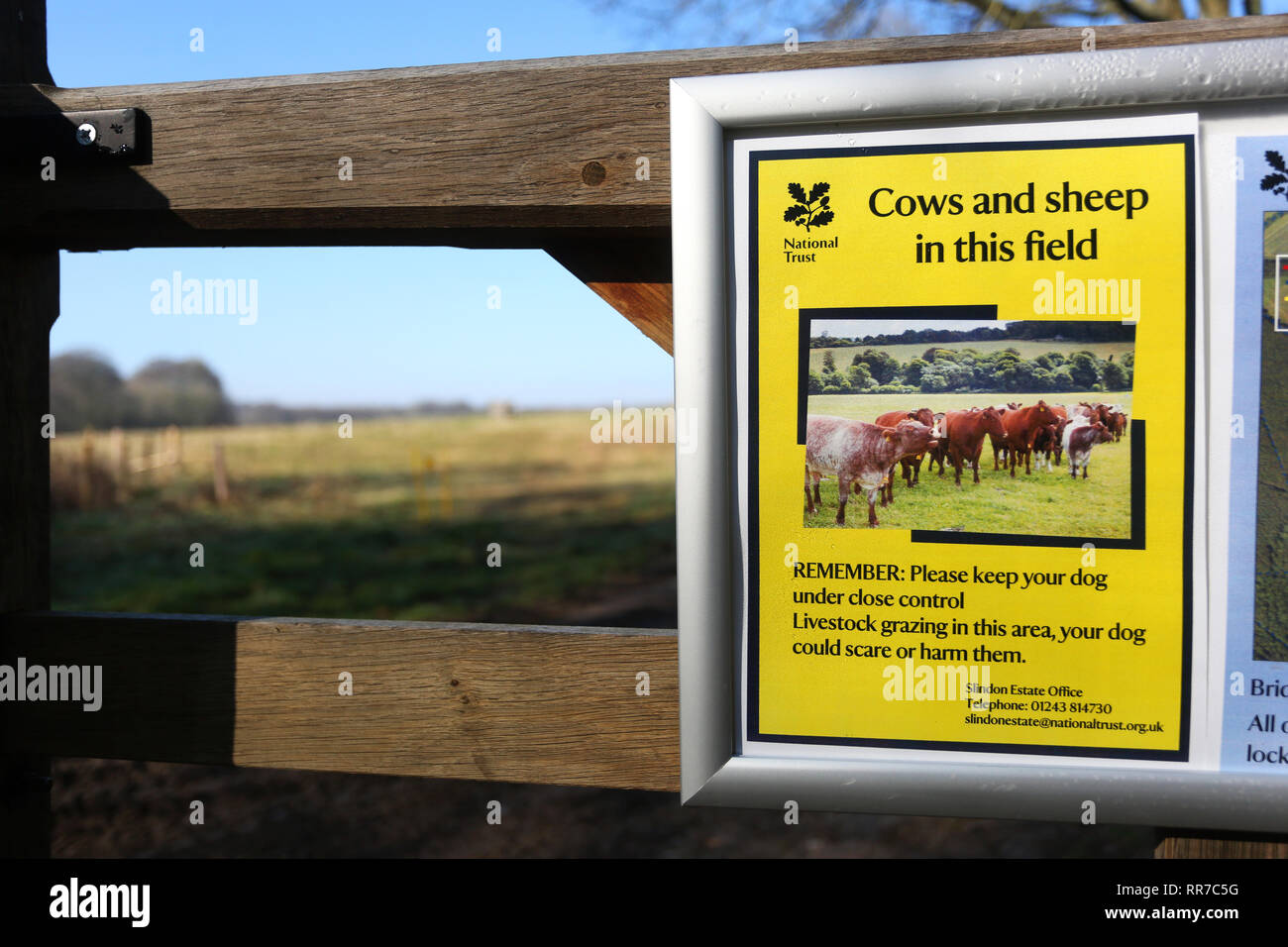 Allgemeine Ansichten von der Bepflanzung und ein 'MÜ-hedging' Ereignis zu helfen, Tiere, Häuser auf dem slindon Immobilien, Sussex, UK. Stockfoto