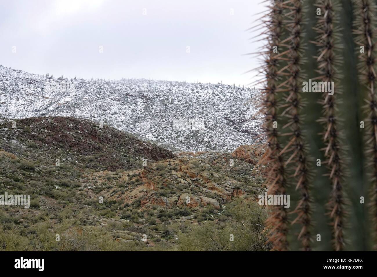 Ein Orkan schlug die Phoenix Wüste in die Superstition Mountains, insbesondere Dutchman State Park verloren, im Schnee. Stockfoto